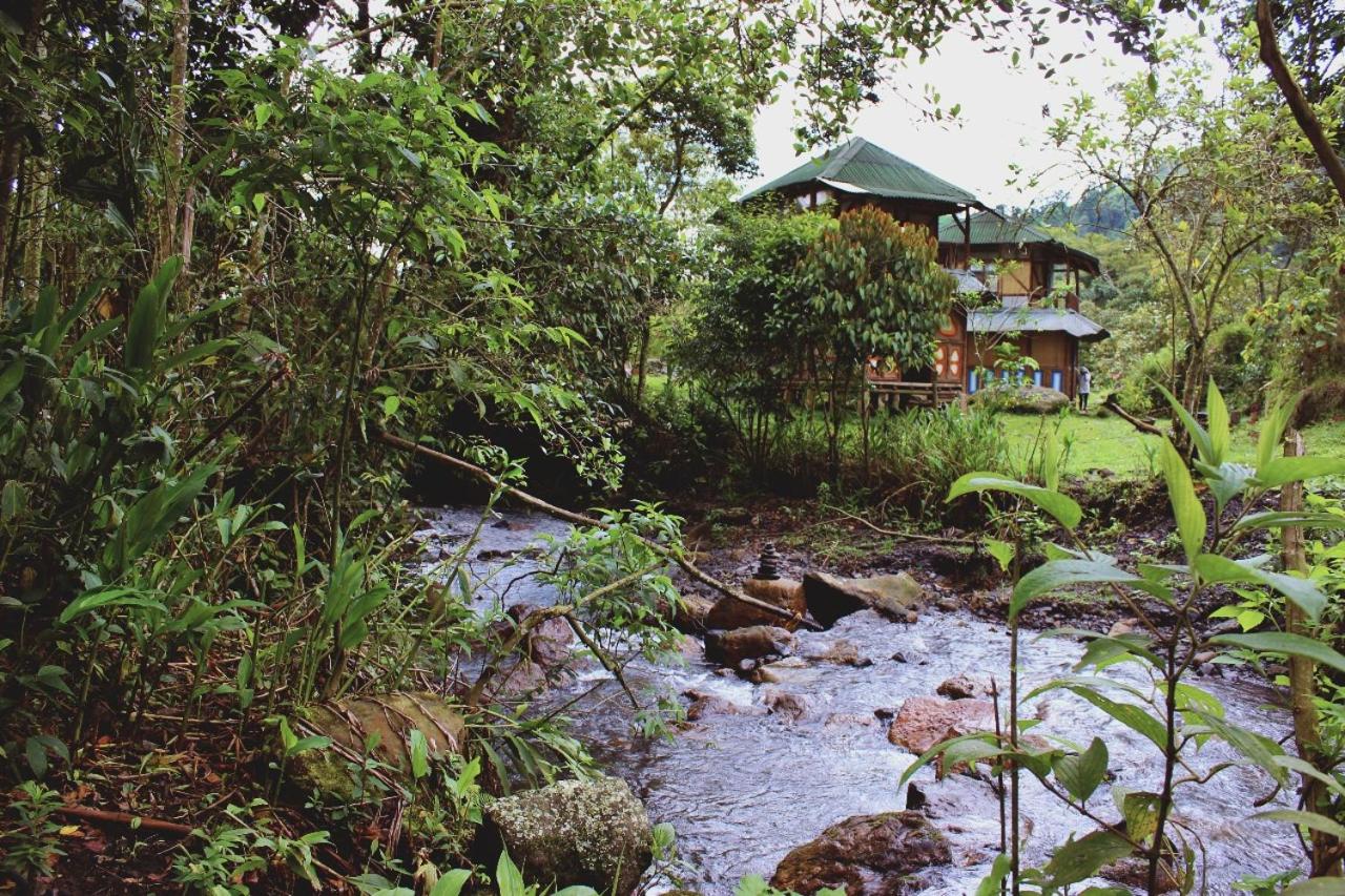 Finca Campestre Ecolodges El Ocelote