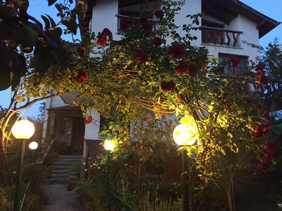 Veselata Guest House