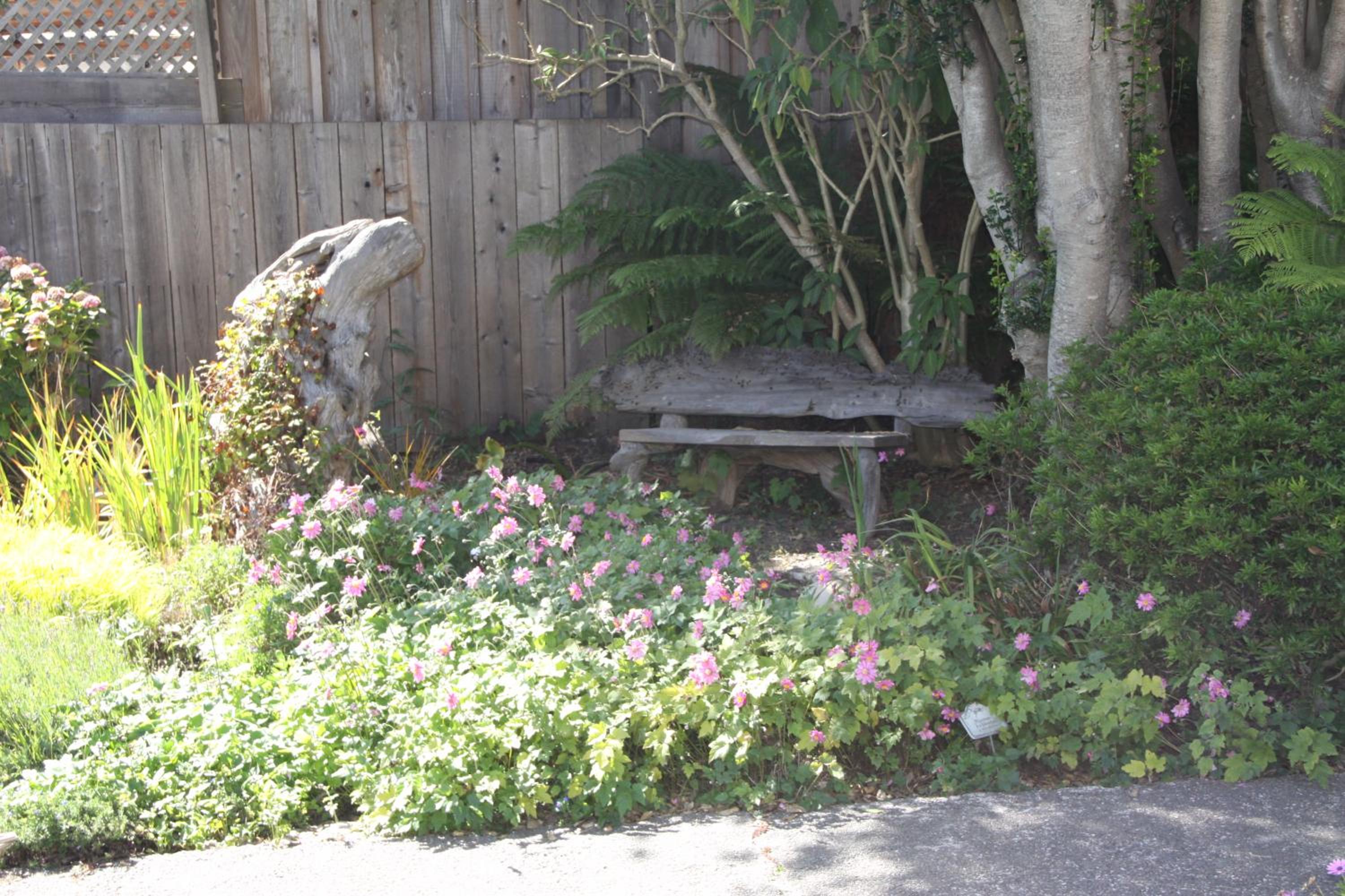 Photo 25