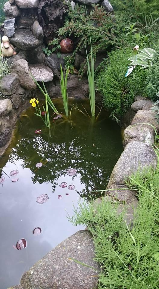 Veselata Guest House