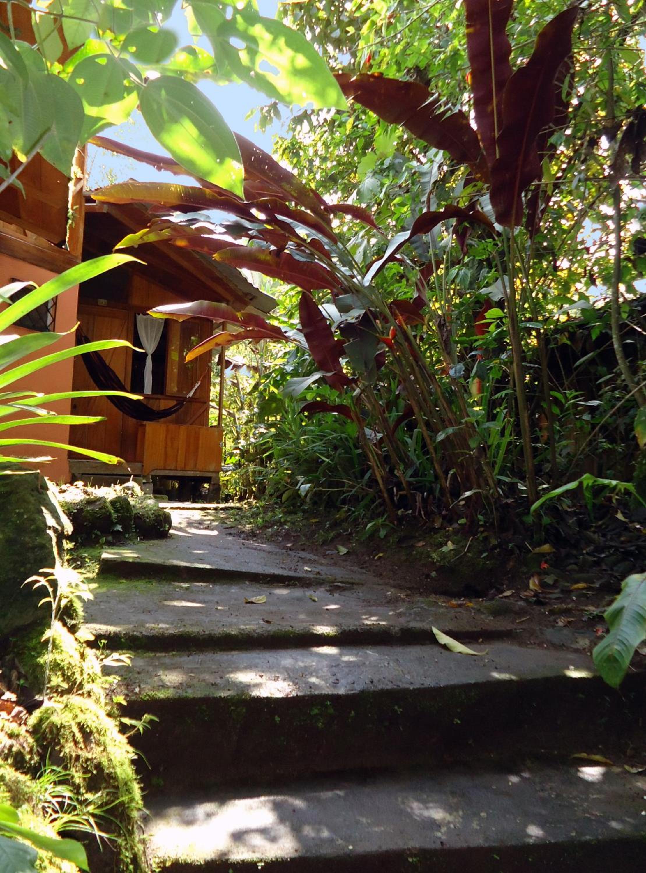 Cabañas Armonía y Jardín de Orquídeas