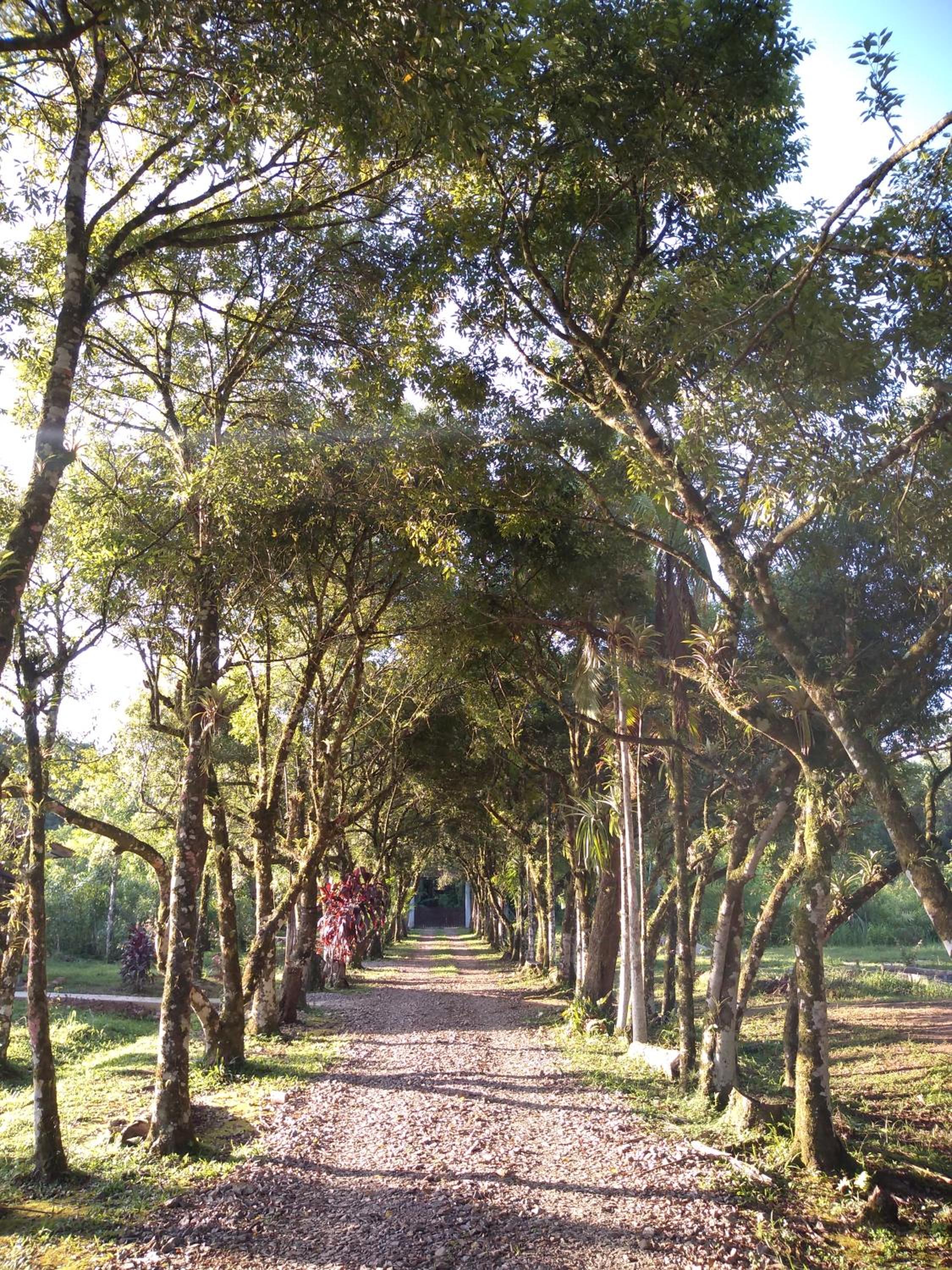 Brisa da Mata Ecolodges
