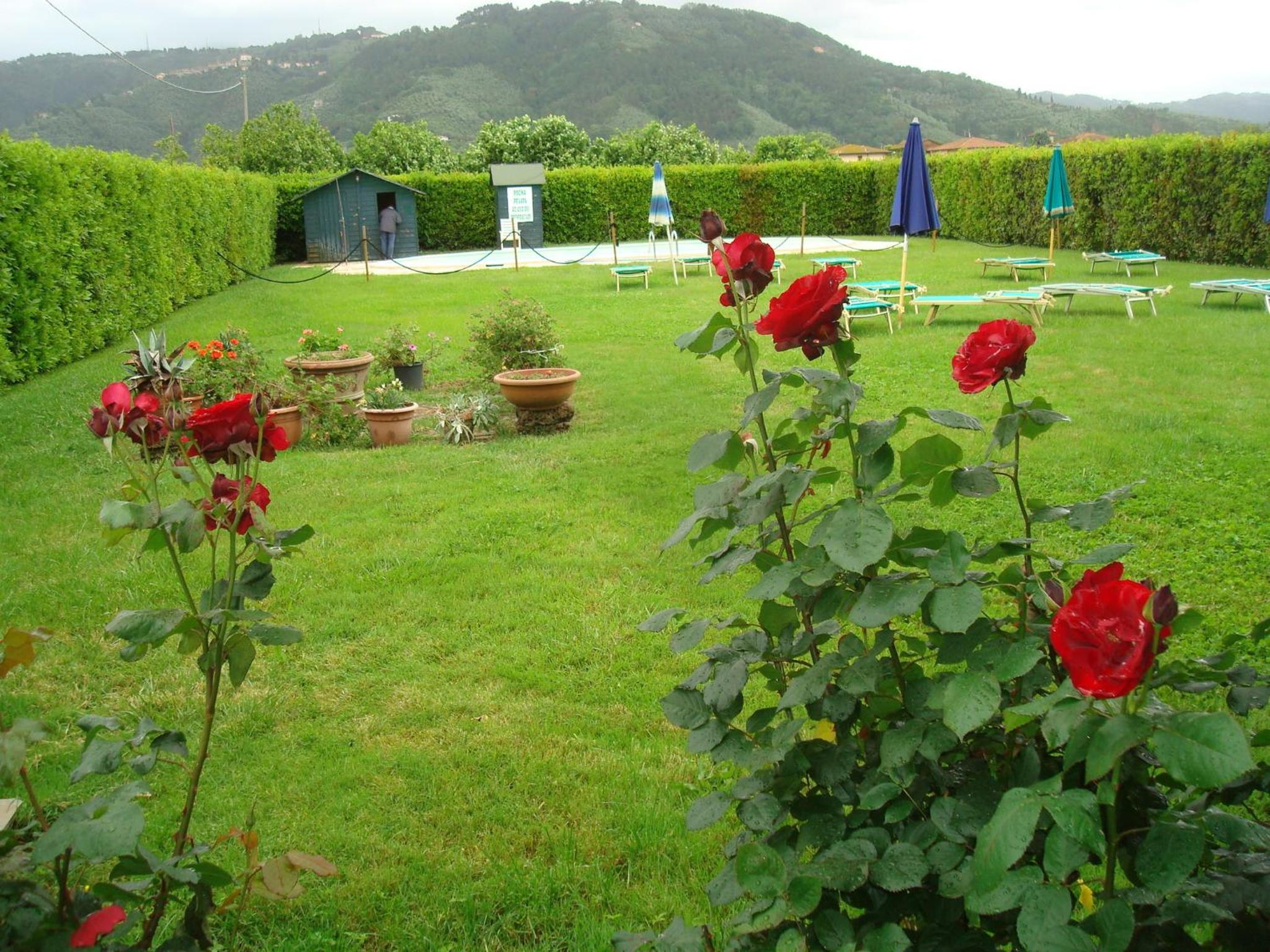 Photo 6