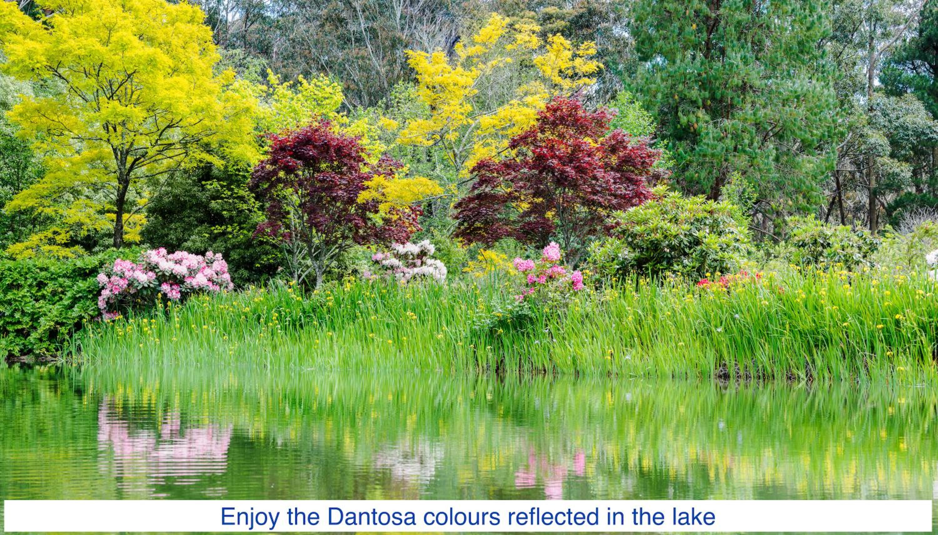 Dantosa Blue Mountains Retreat