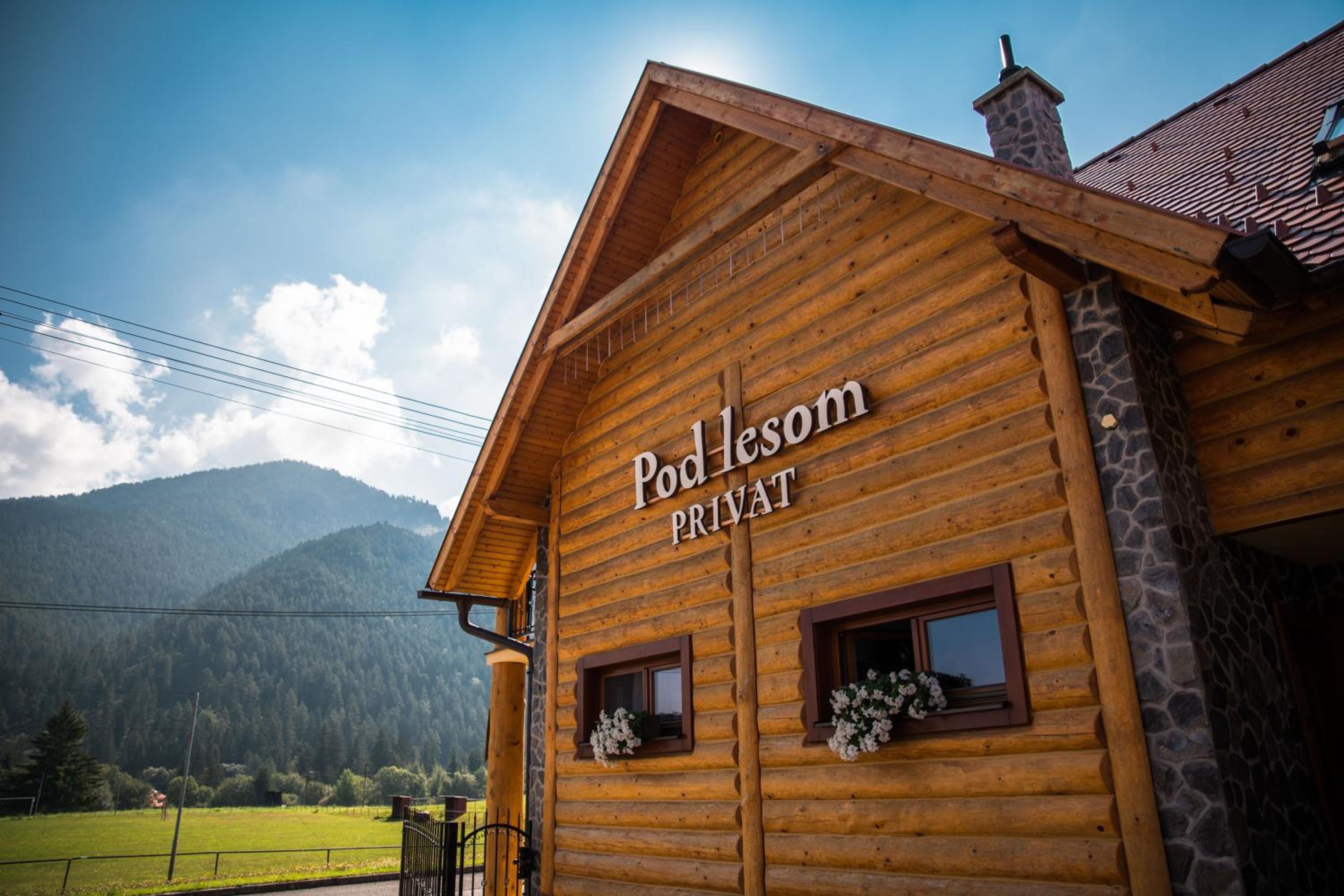 Guest House Privat Pod Lesom view 3