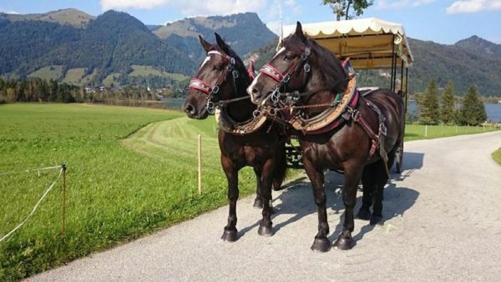 Reitanlage Dagnhof