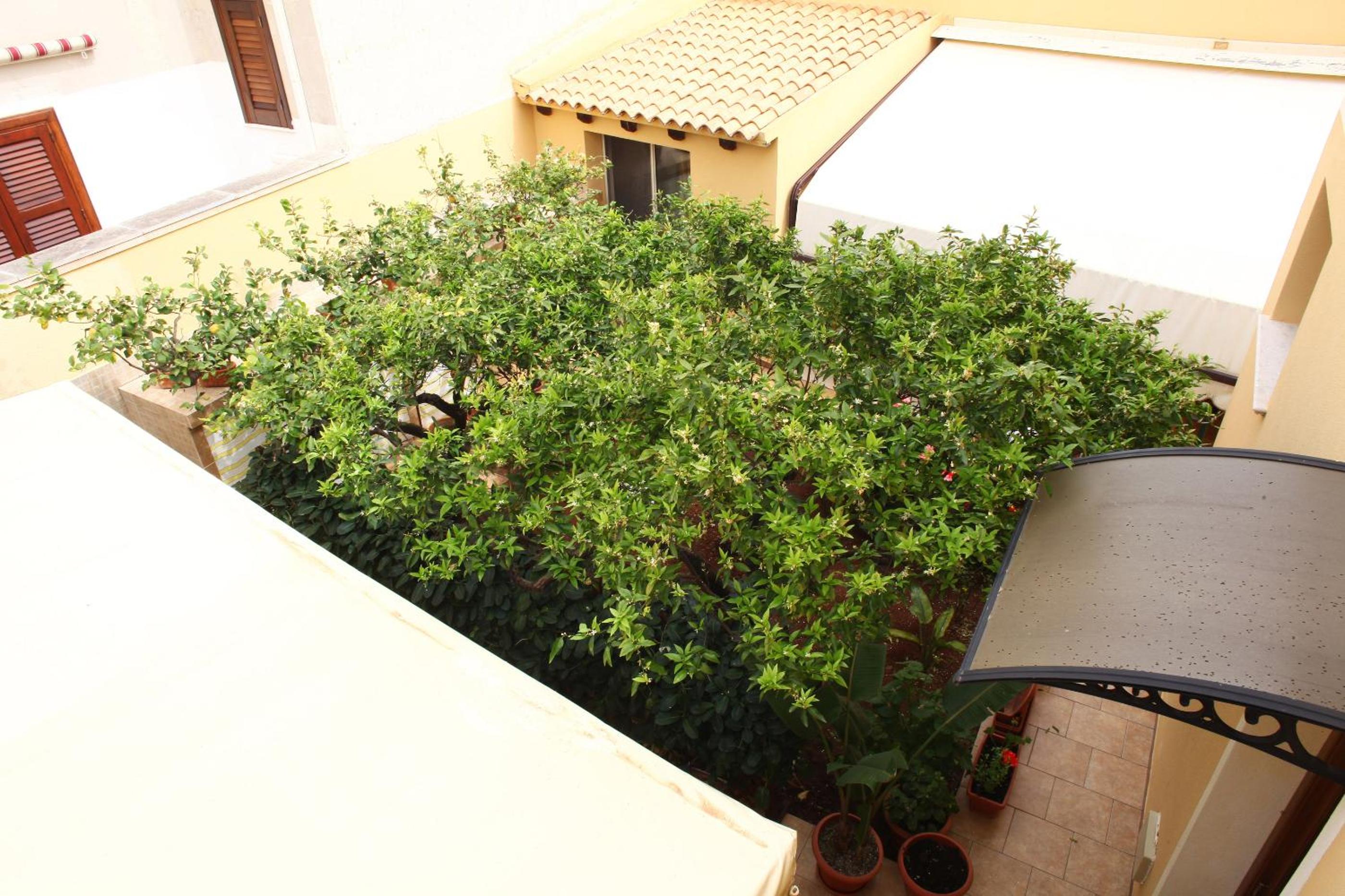 Photo 47