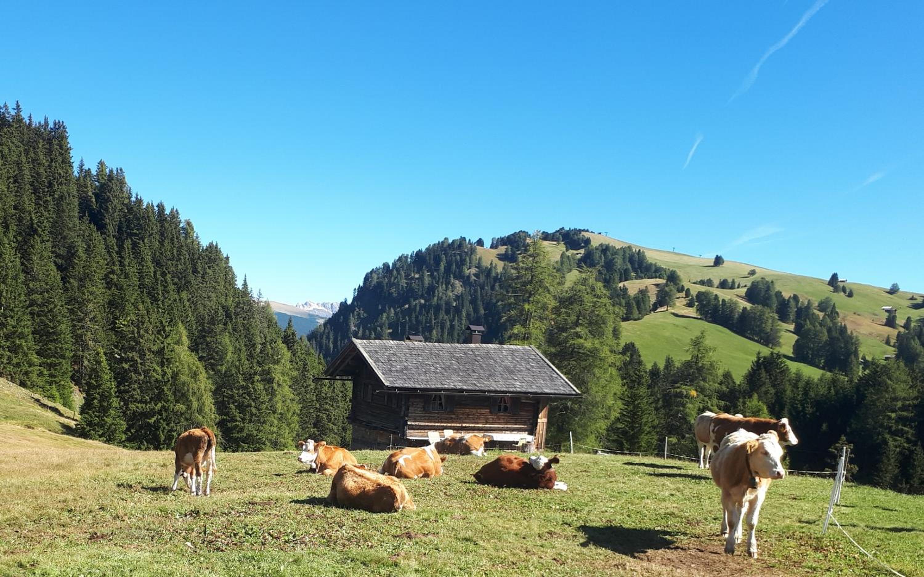 Kompatscherhof view 2
