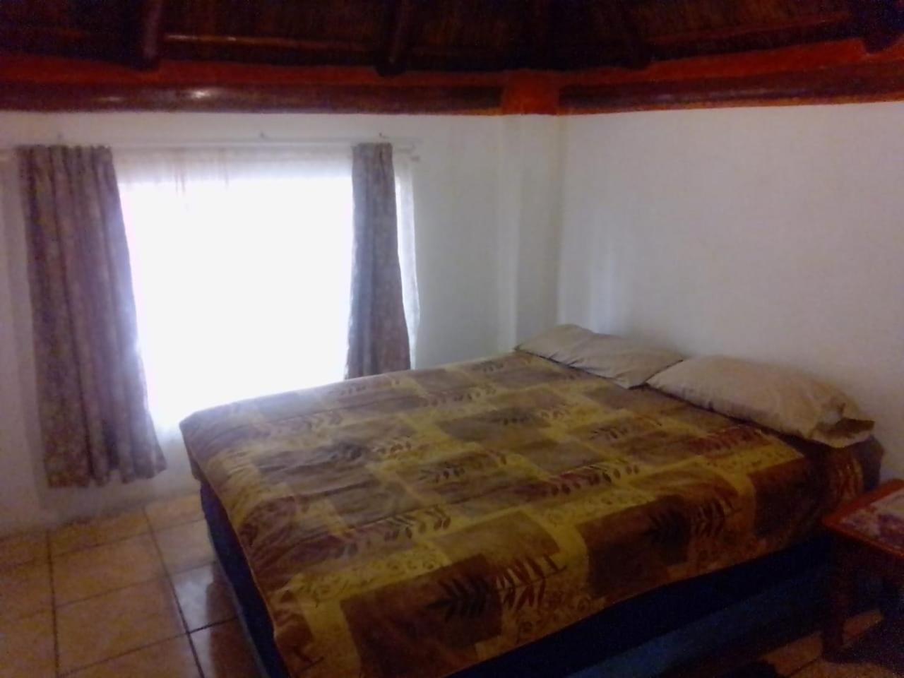 Photo 51