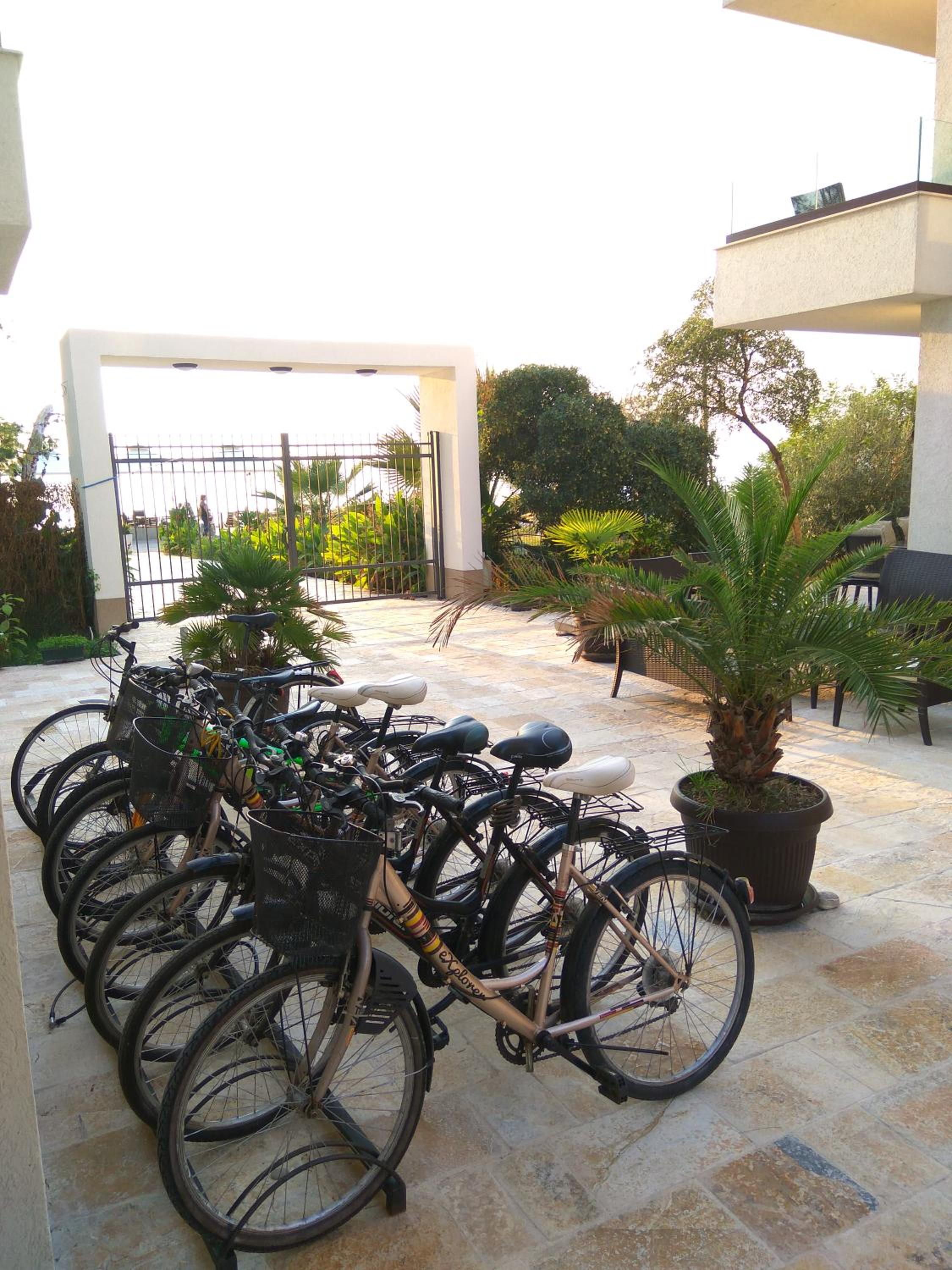 Apartments Kuce Lekovica Beach & snack bar- Bistro