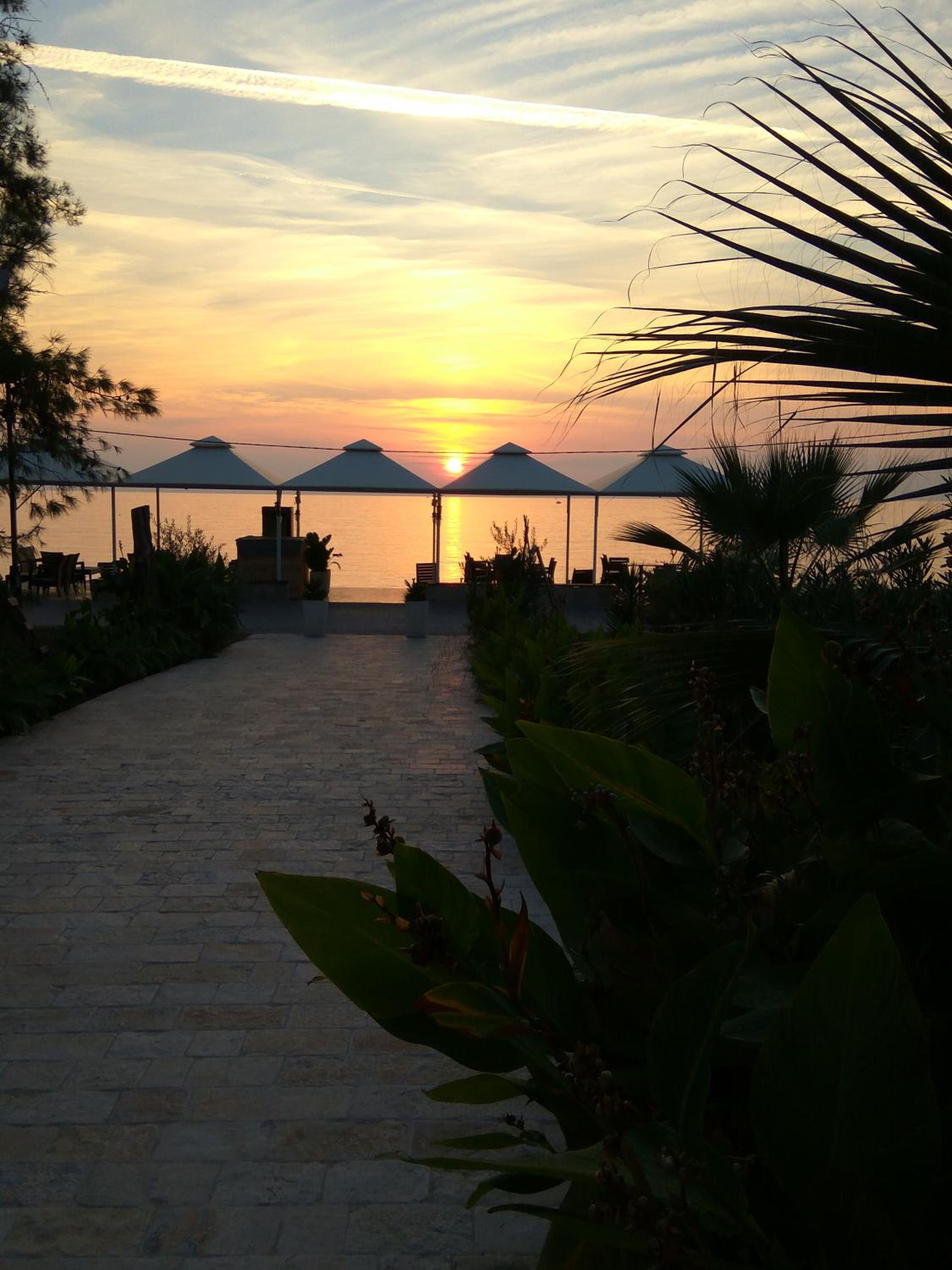 Apartments Kuce Lekovica Beach & snack bar- Bistro