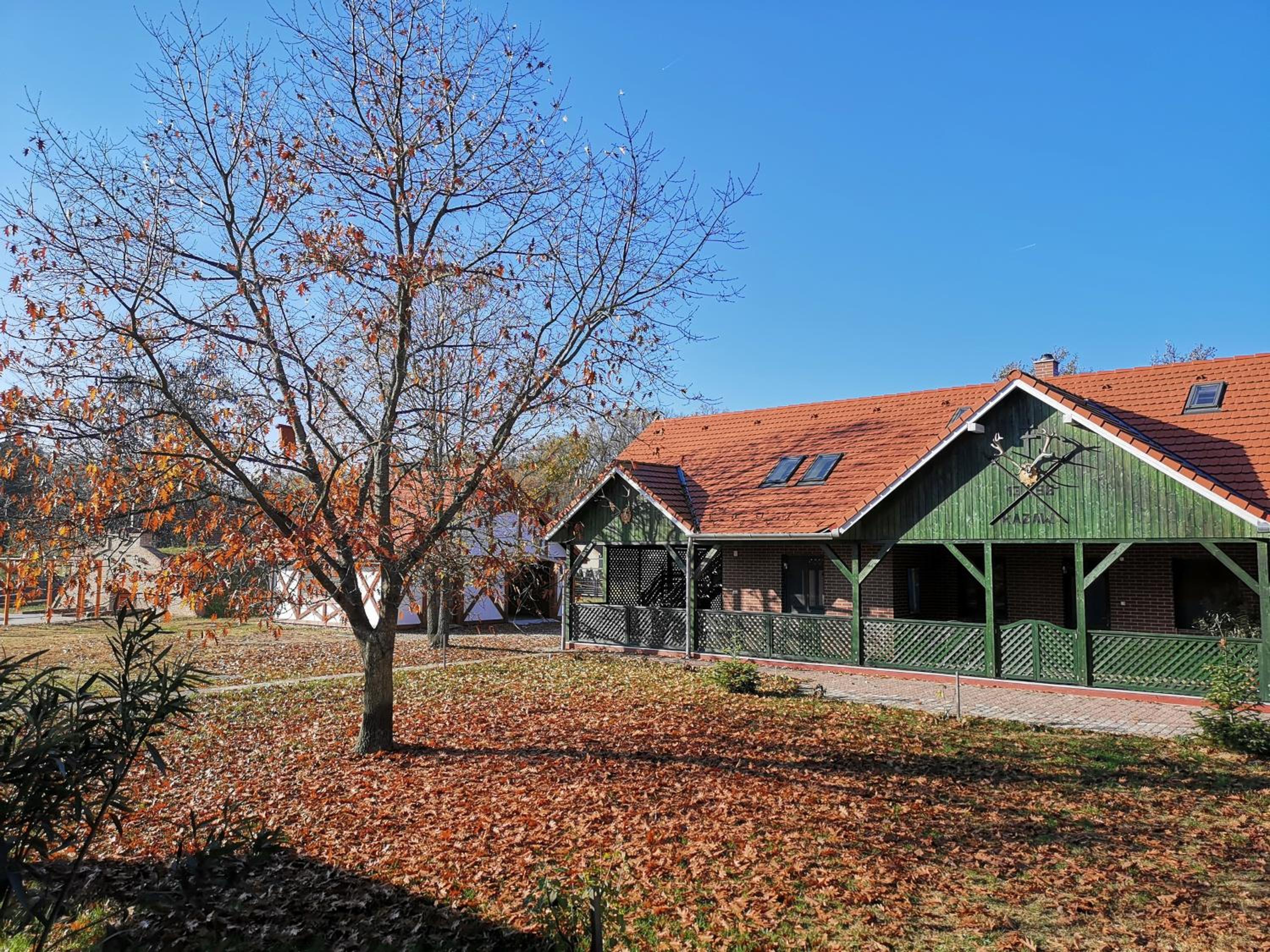 Photo 11