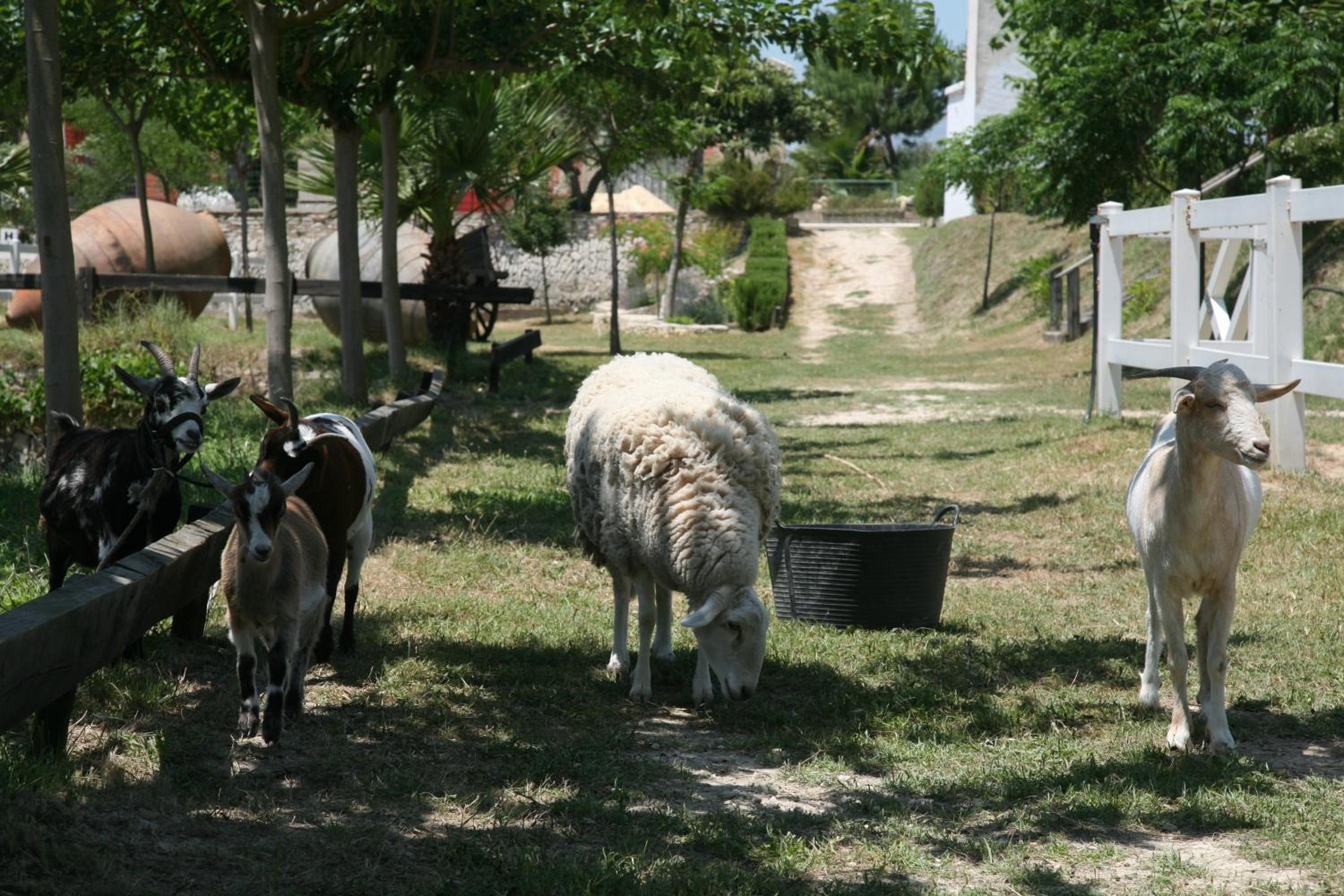 Photo 29