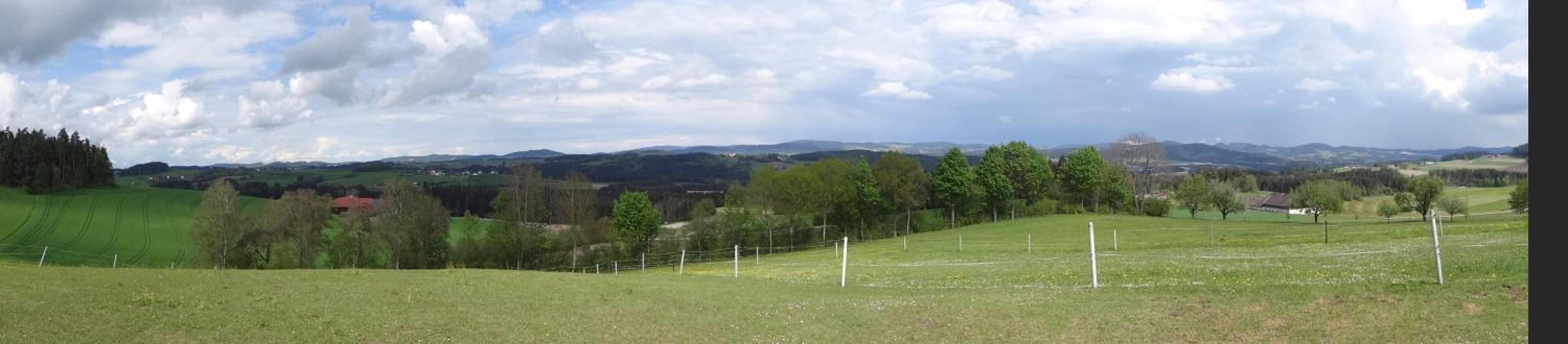 Desl´s little farm