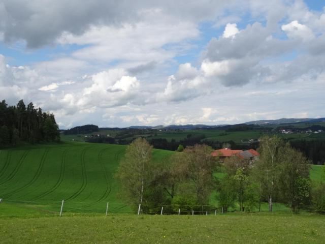 Desl´s little farm