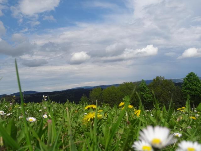 Desl´s little farm