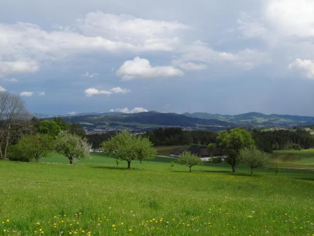Desl´s little farm