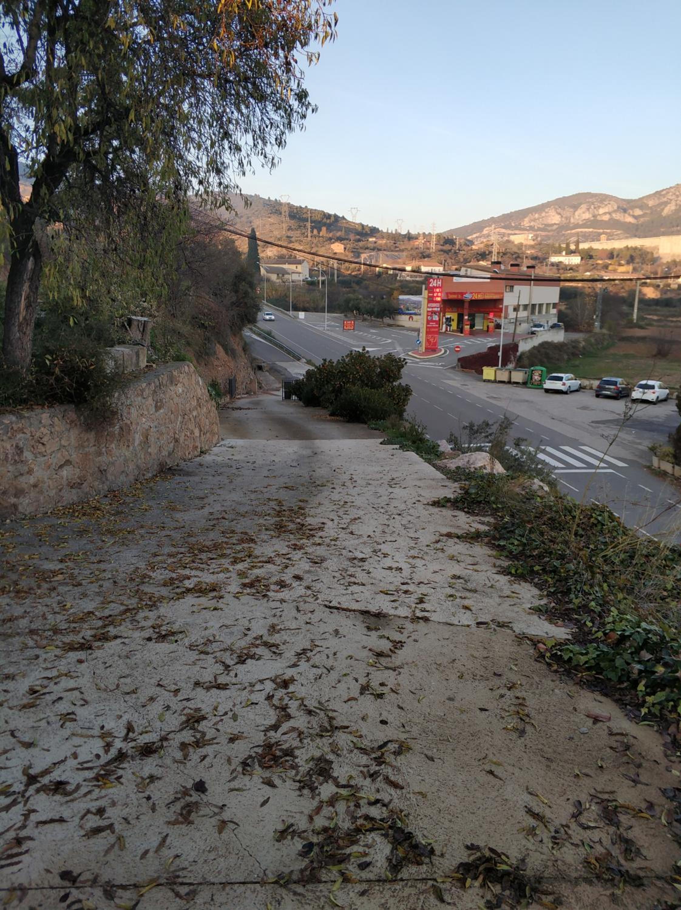 Photo 8