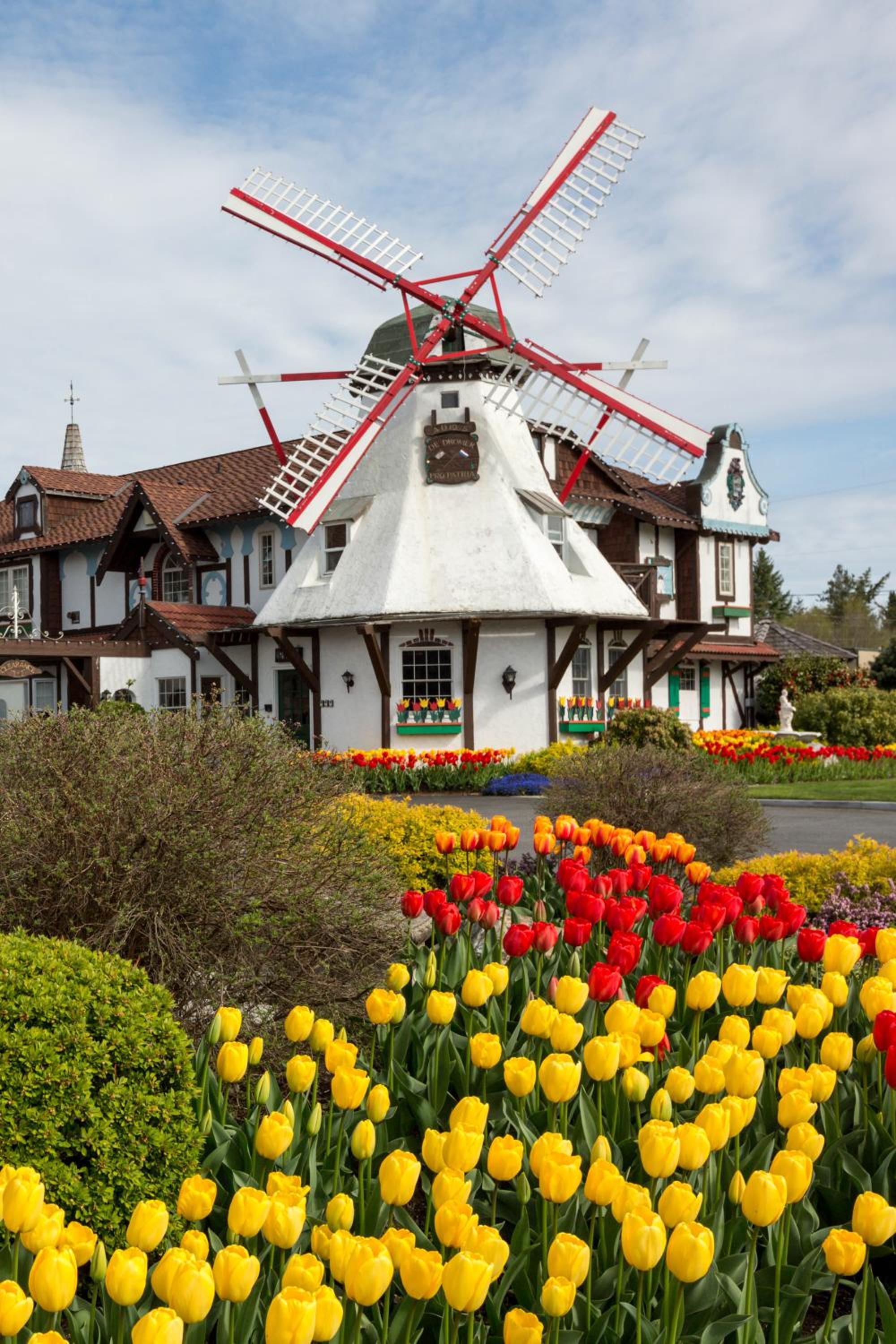 Auld Holland Inn
