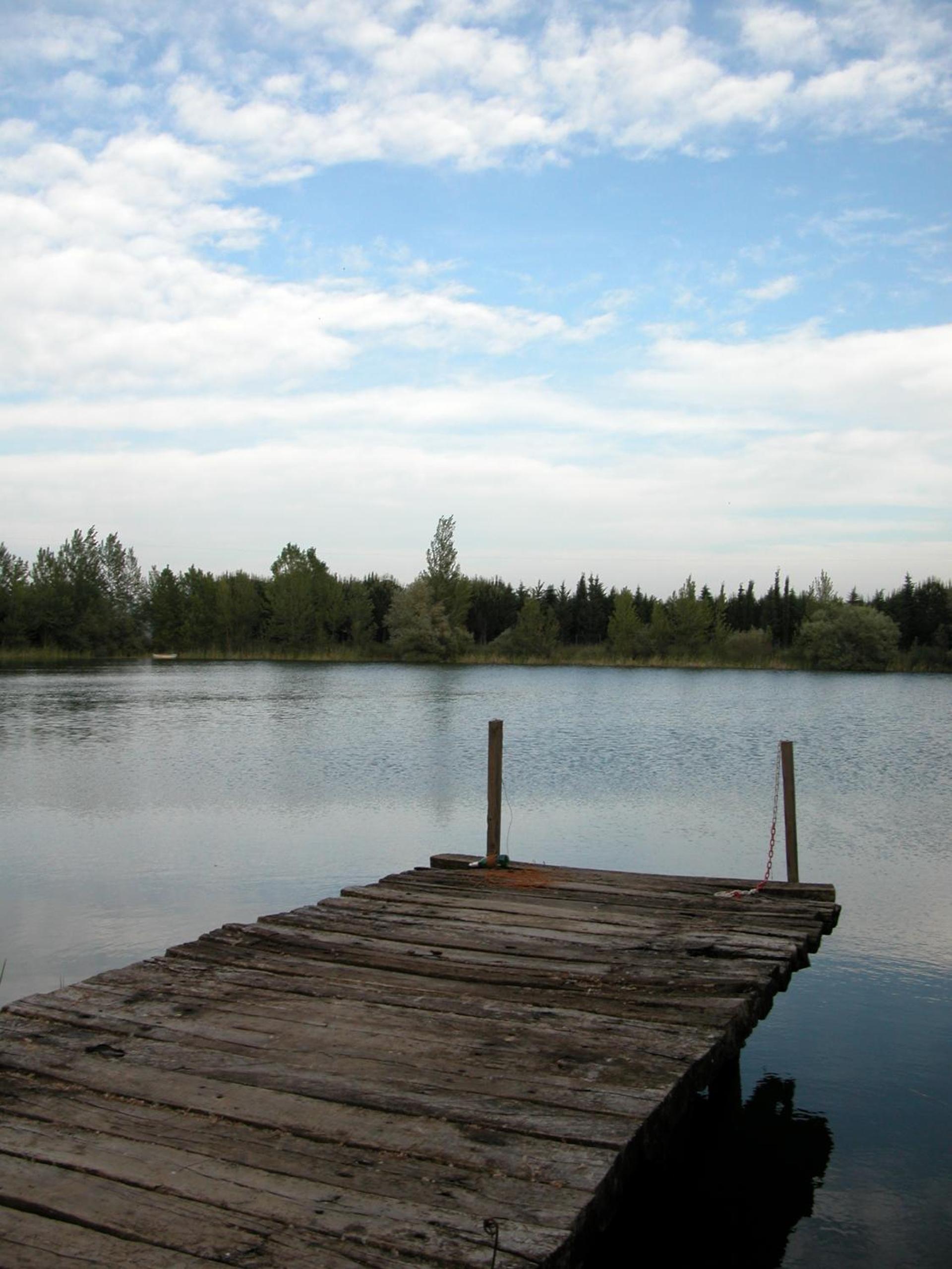 Photo 121