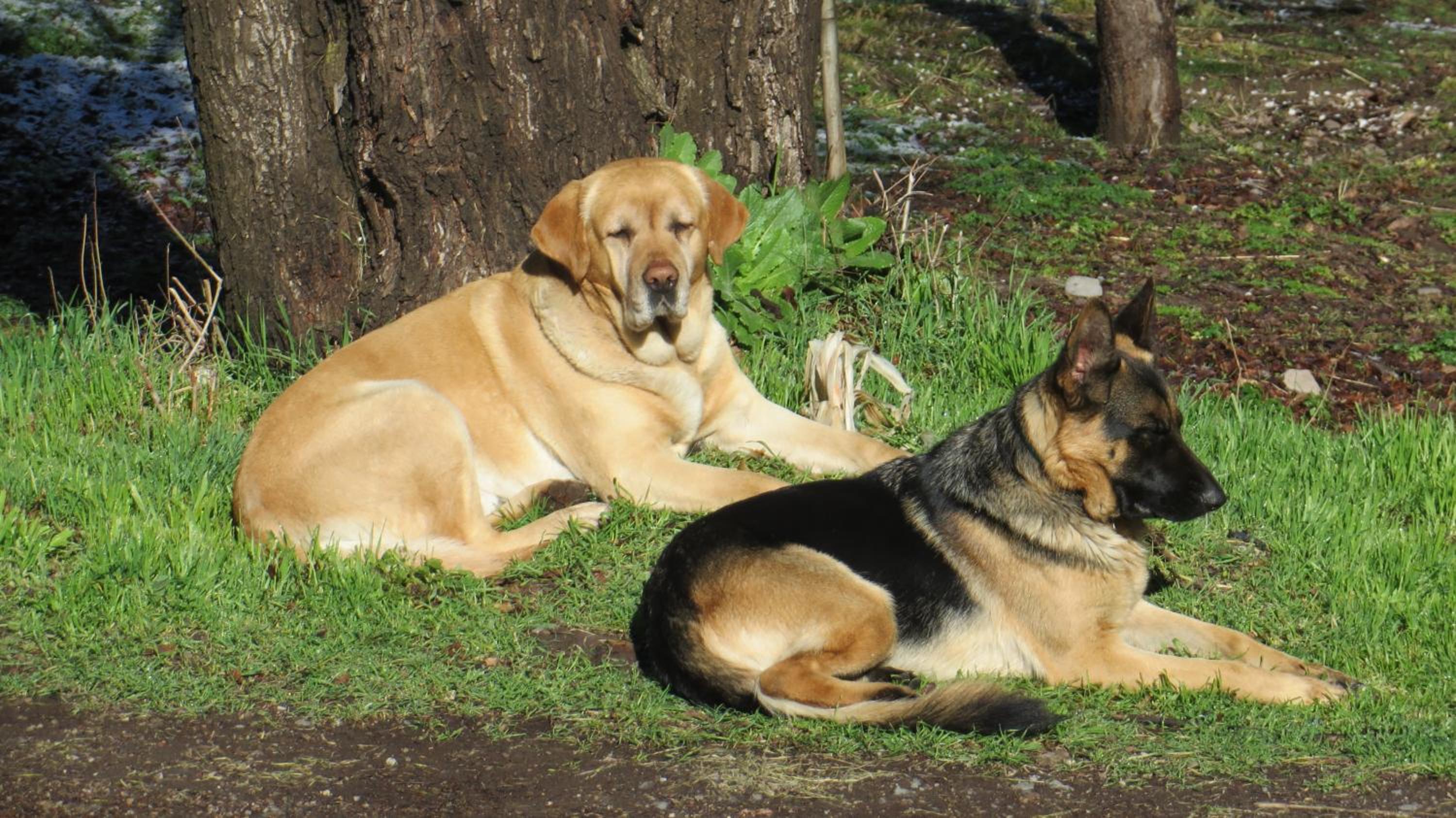 Photo 40