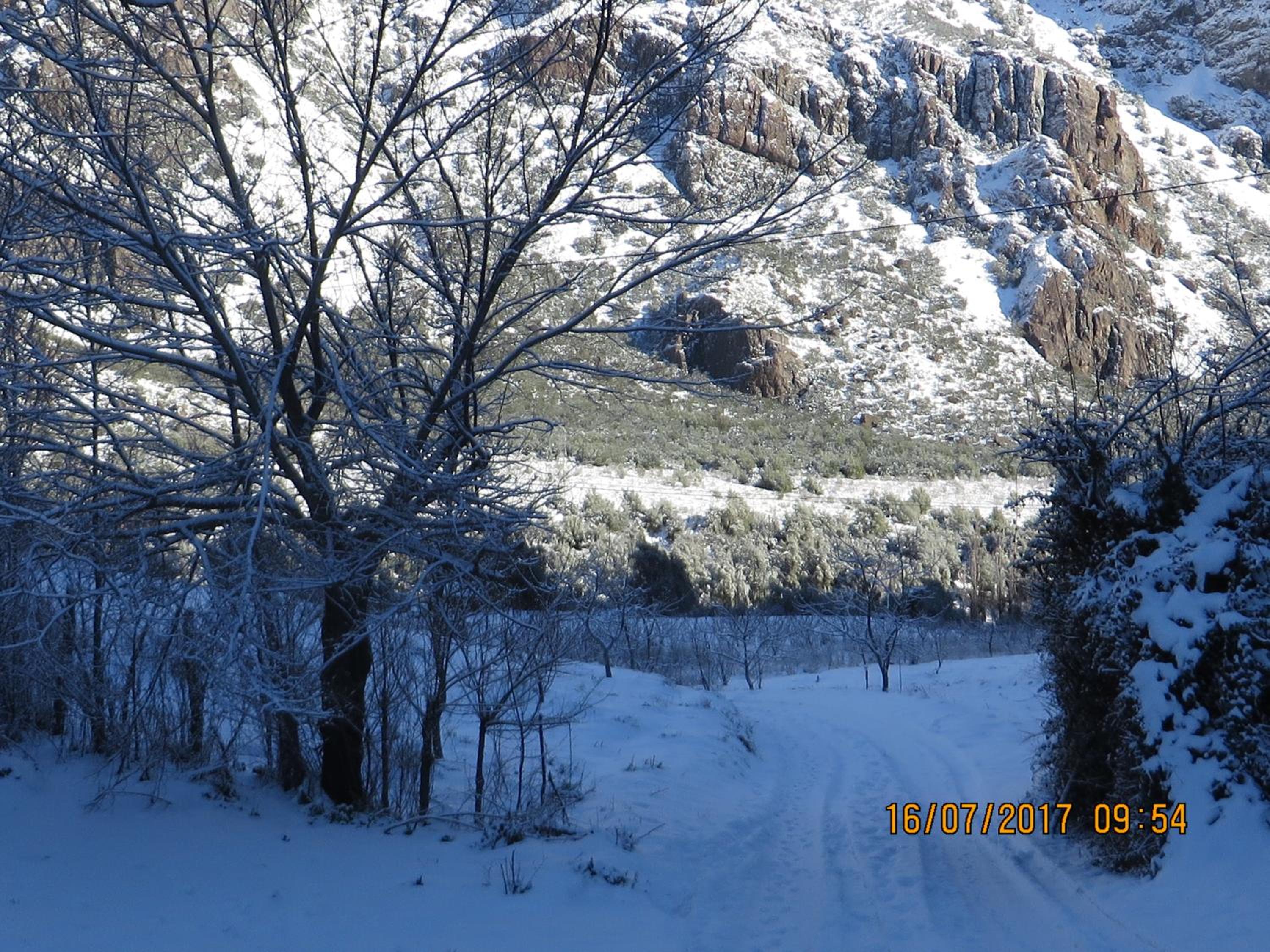 Photo 30