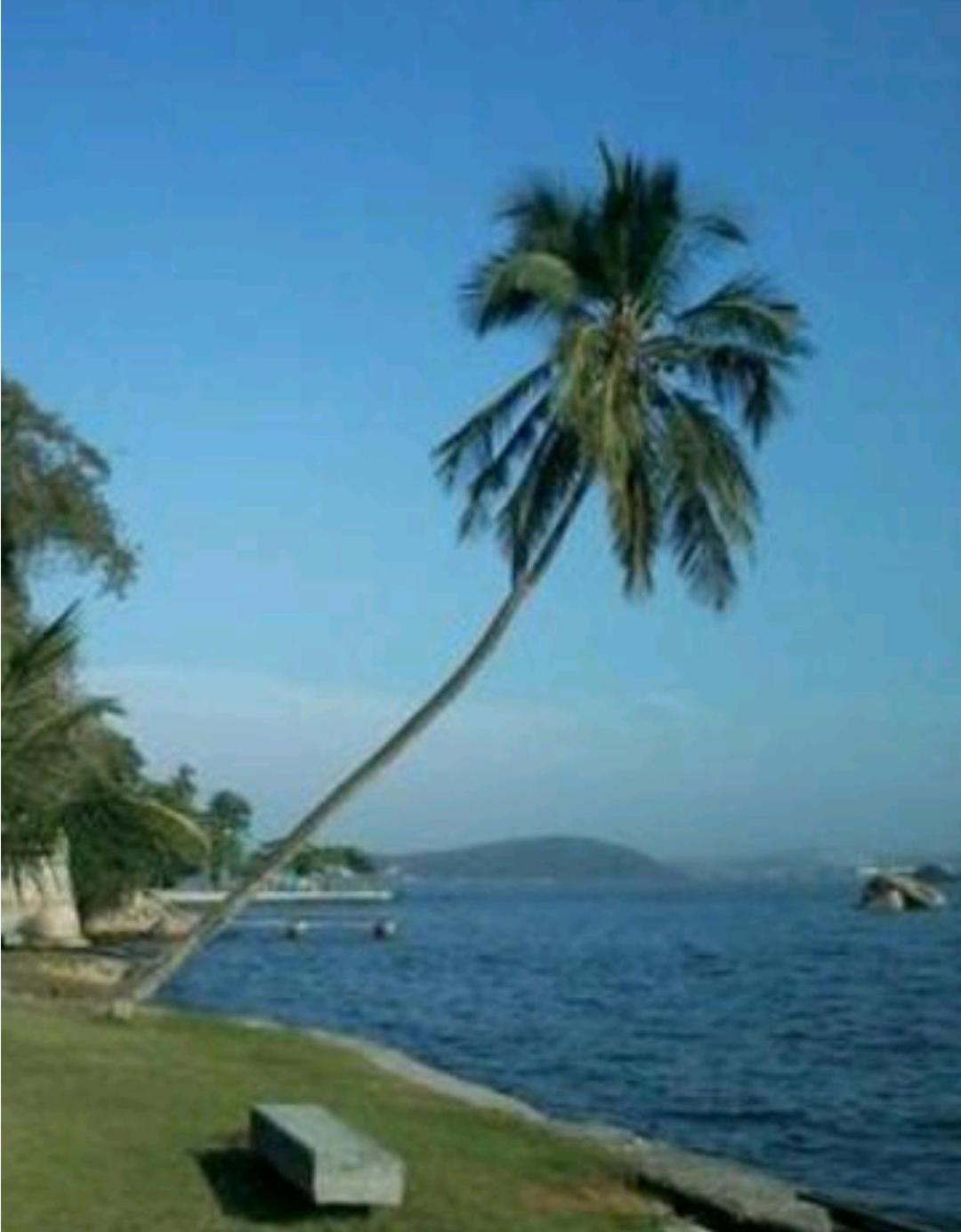 Apto Temporada na Ilha de Paquetá