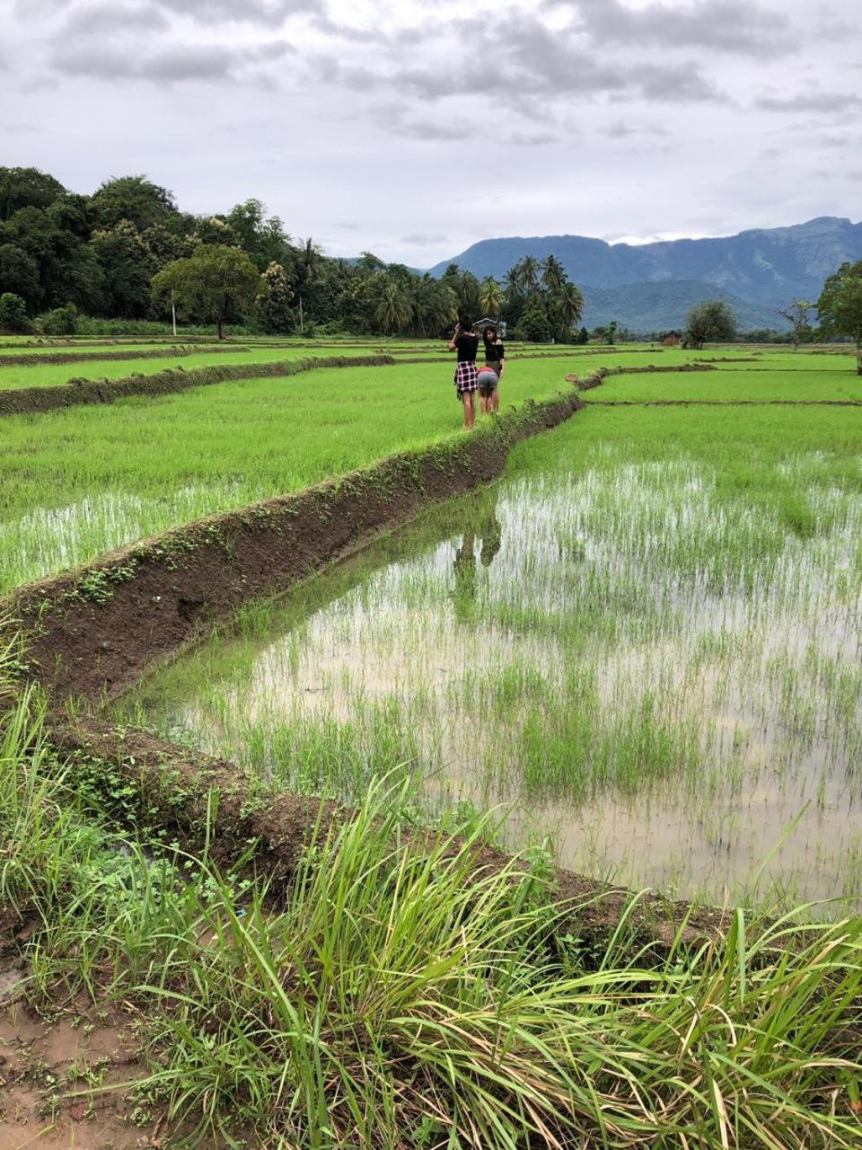 Mapakada Village - Mahiyanganaya