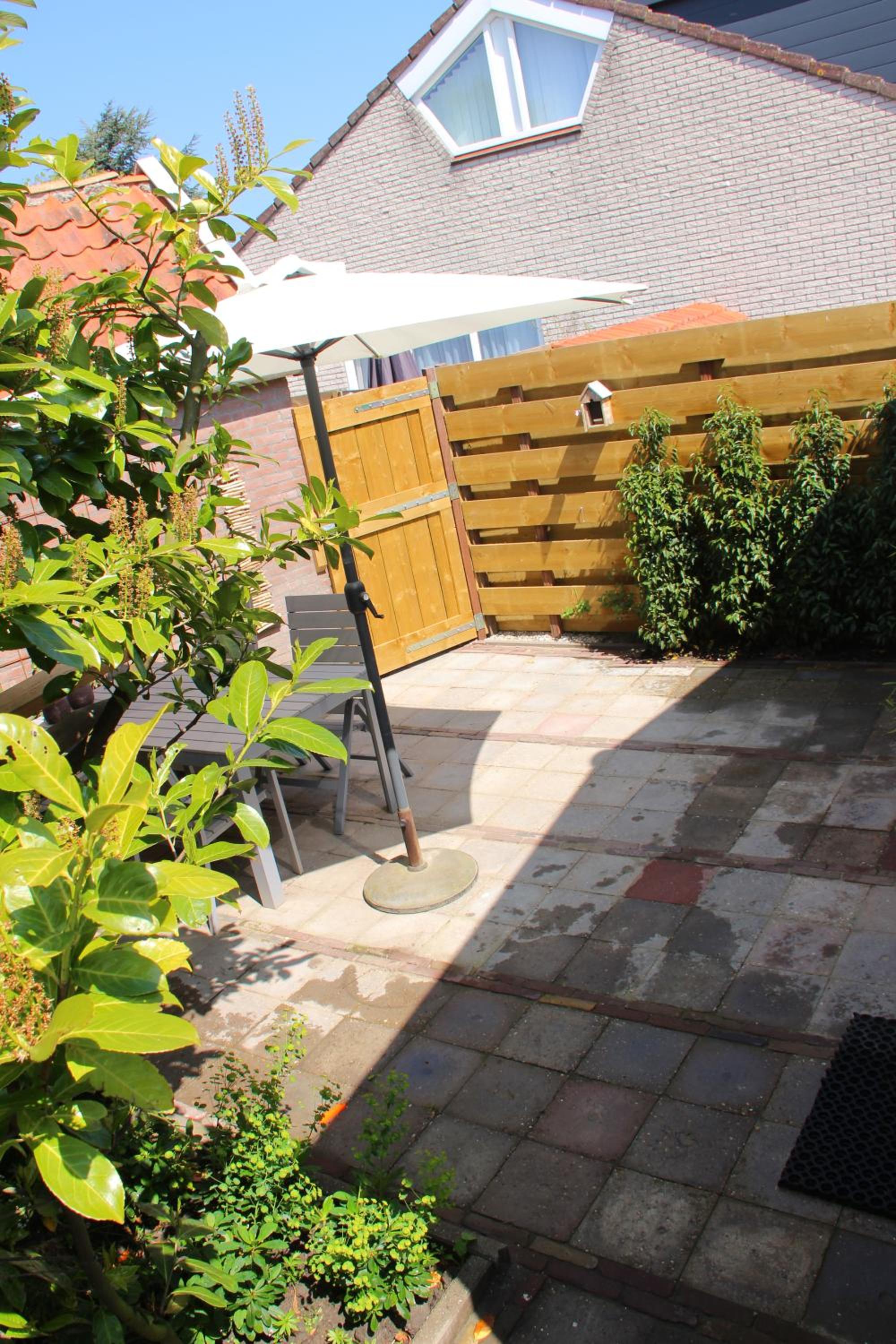 Photo 14