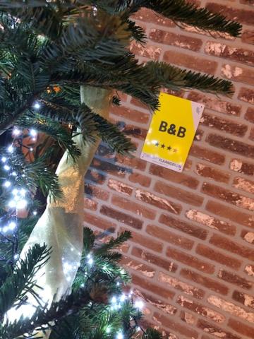 B&B Sasput