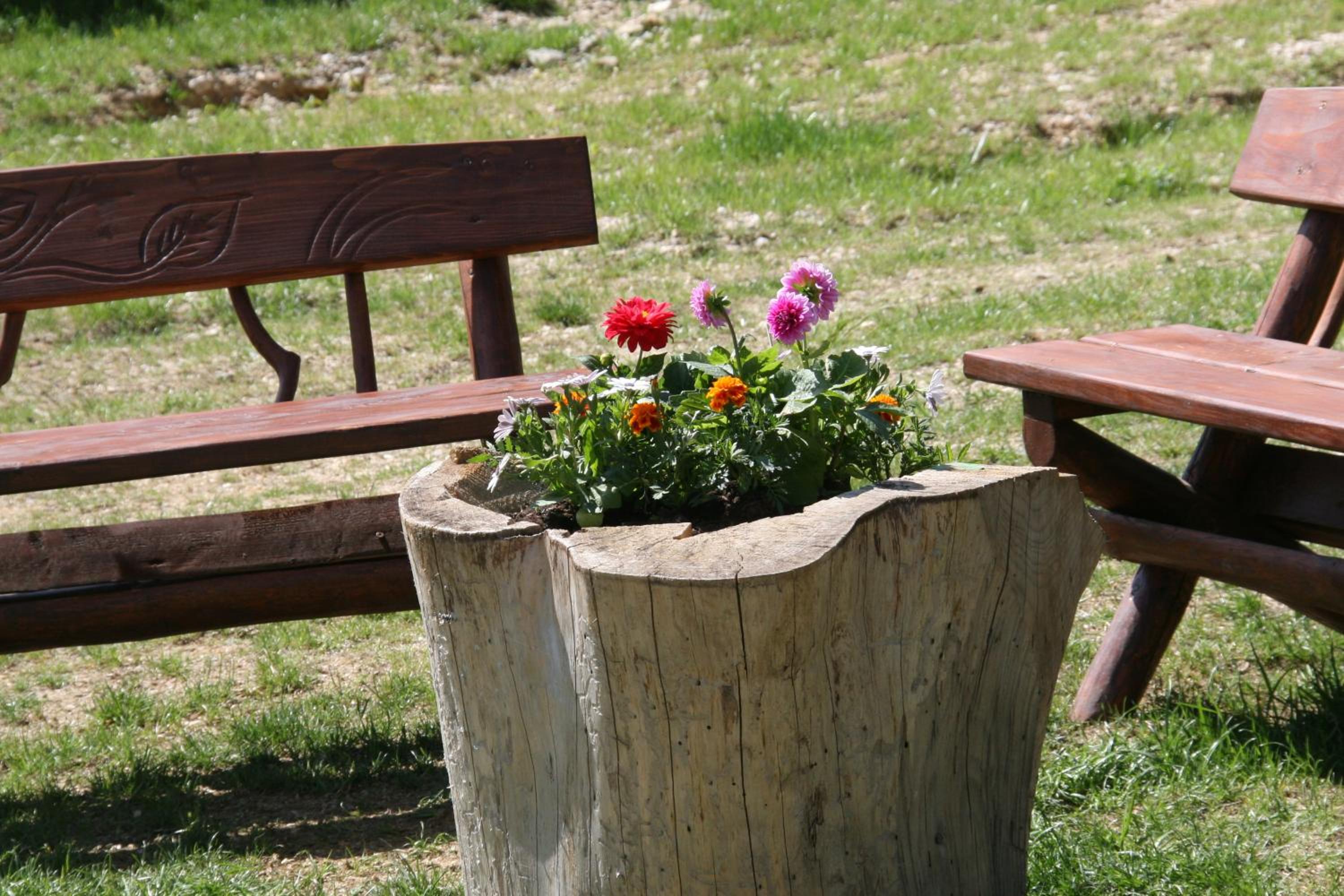Photo 42