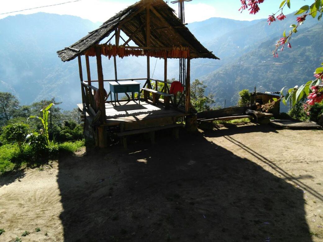 Red Panda Homestay view 2