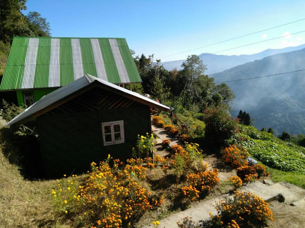 Red Panda Homestay view 4