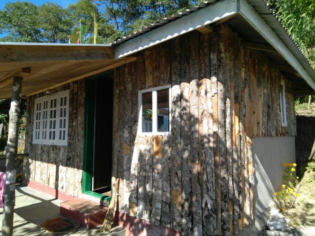 Red Panda Homestay view 5