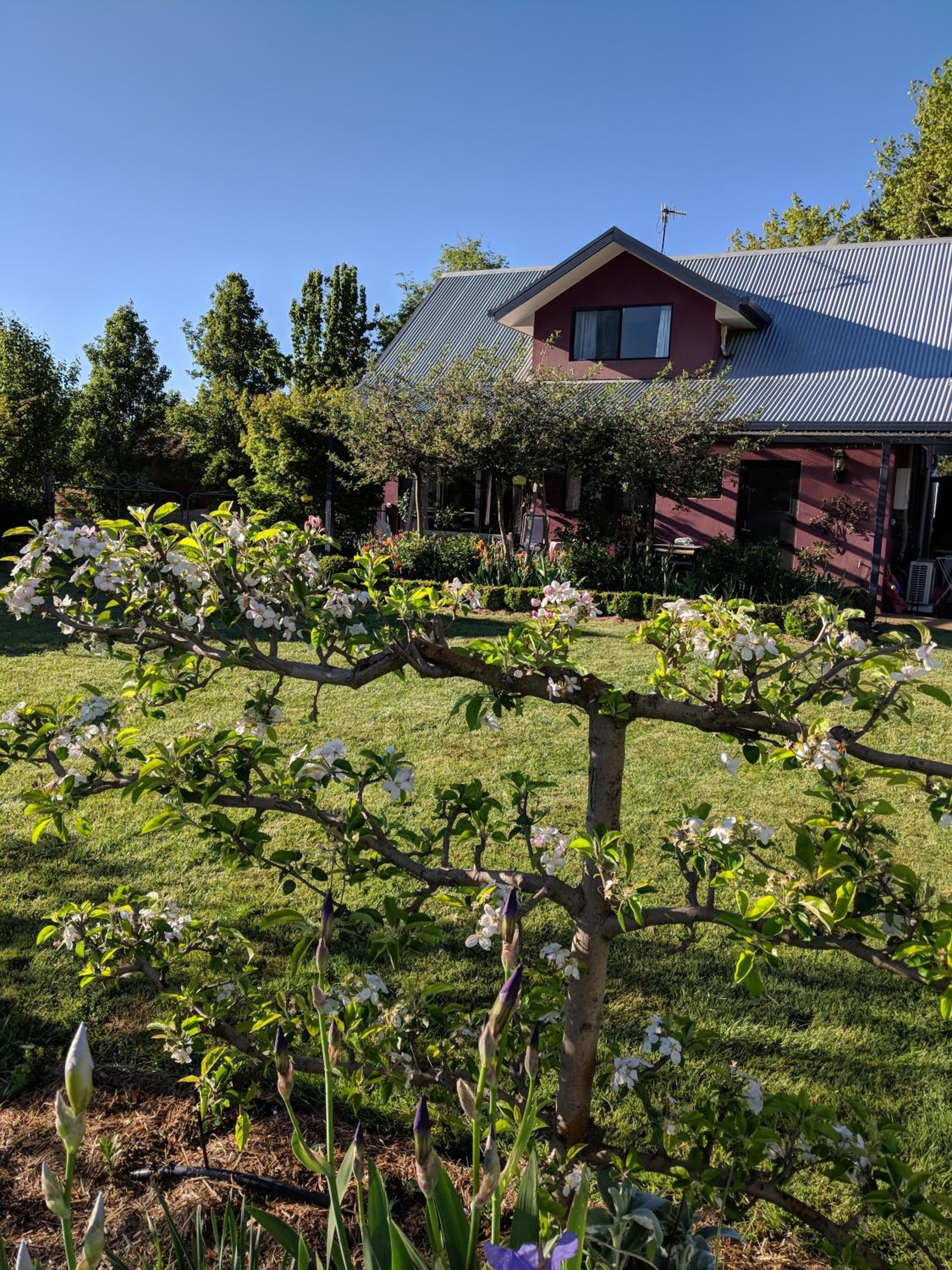 Magenta Cottage