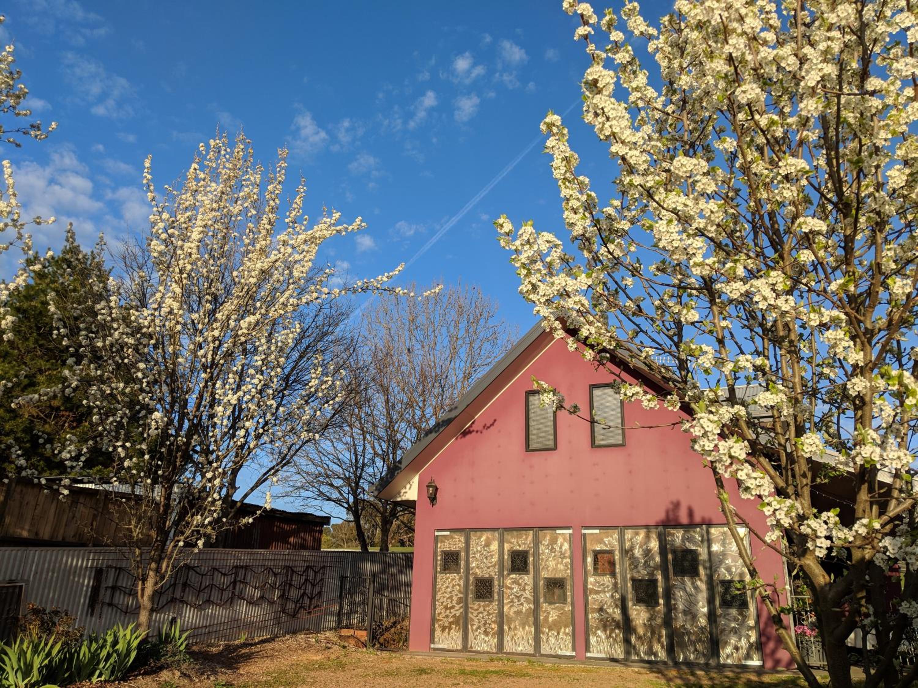 Magenta Cottage