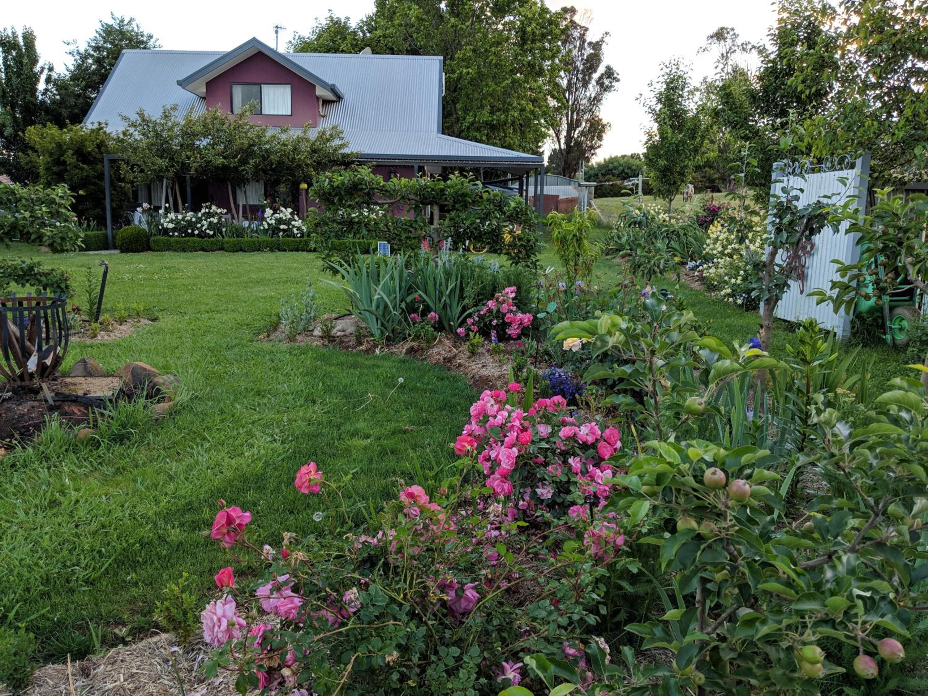 Magenta Cottage