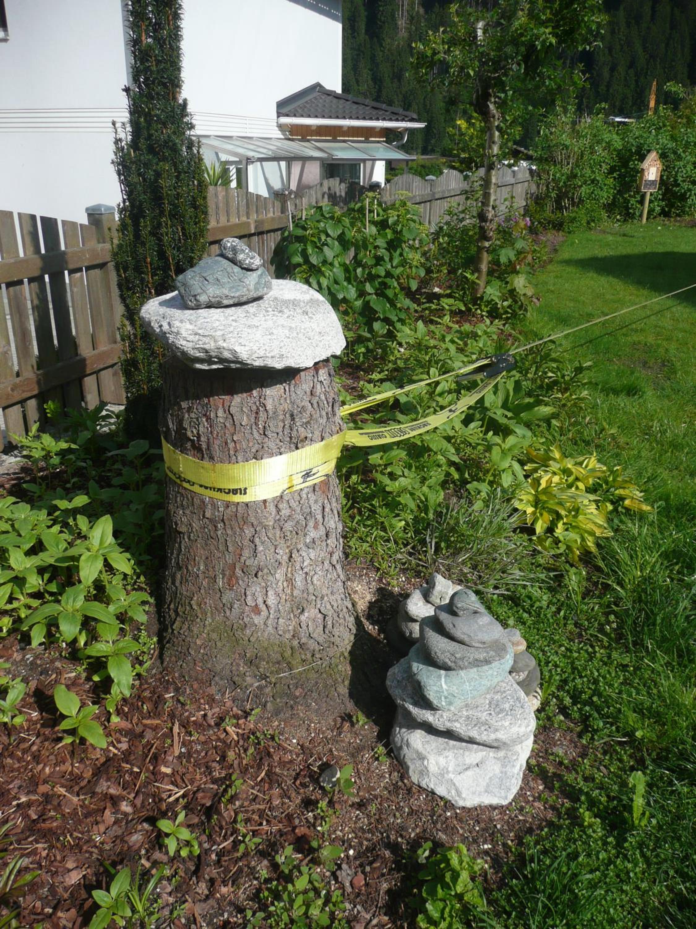 Photo 24