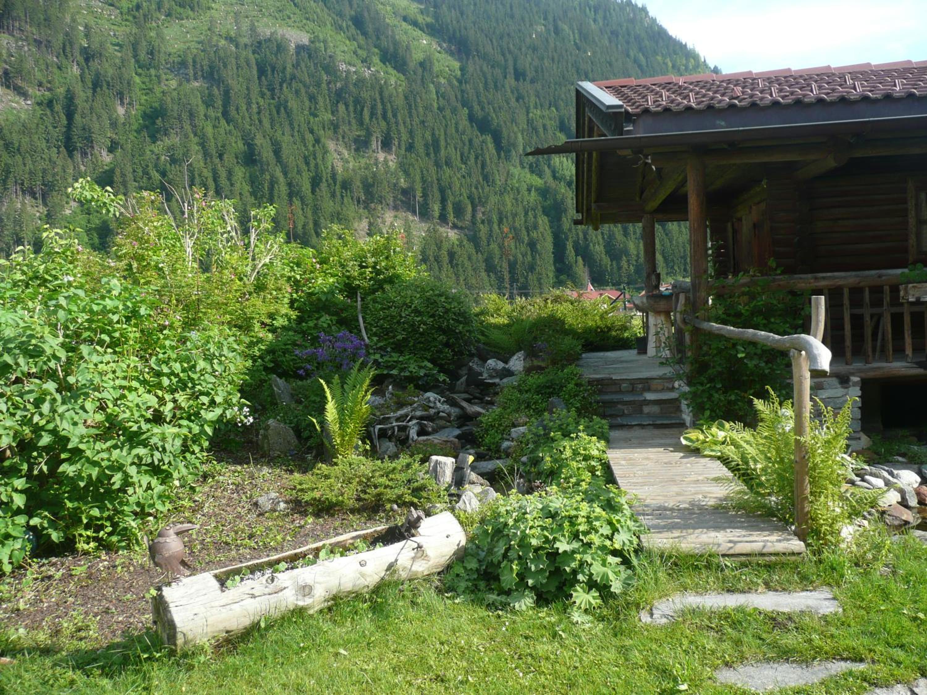 Photo 16