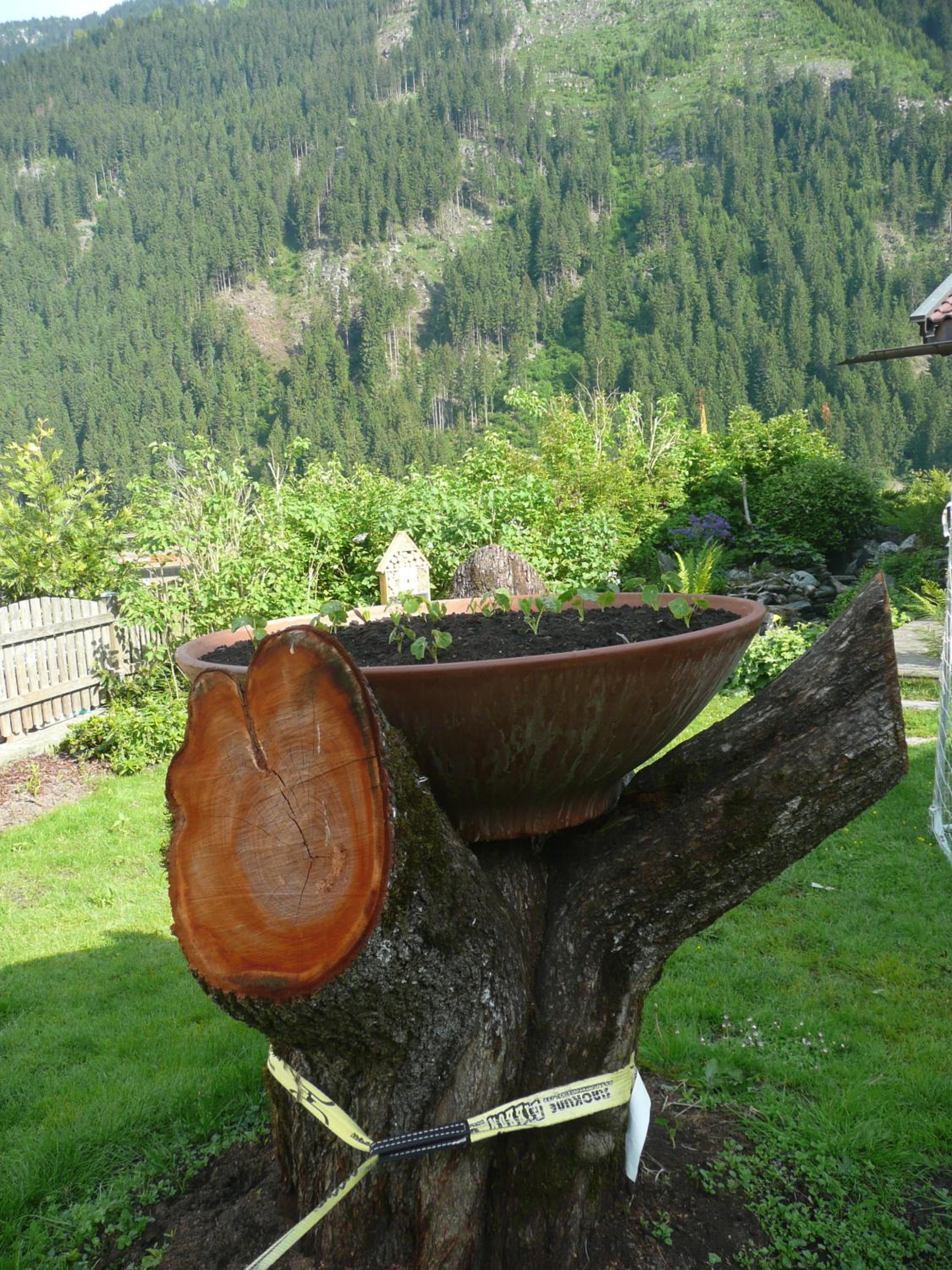 Photo 17