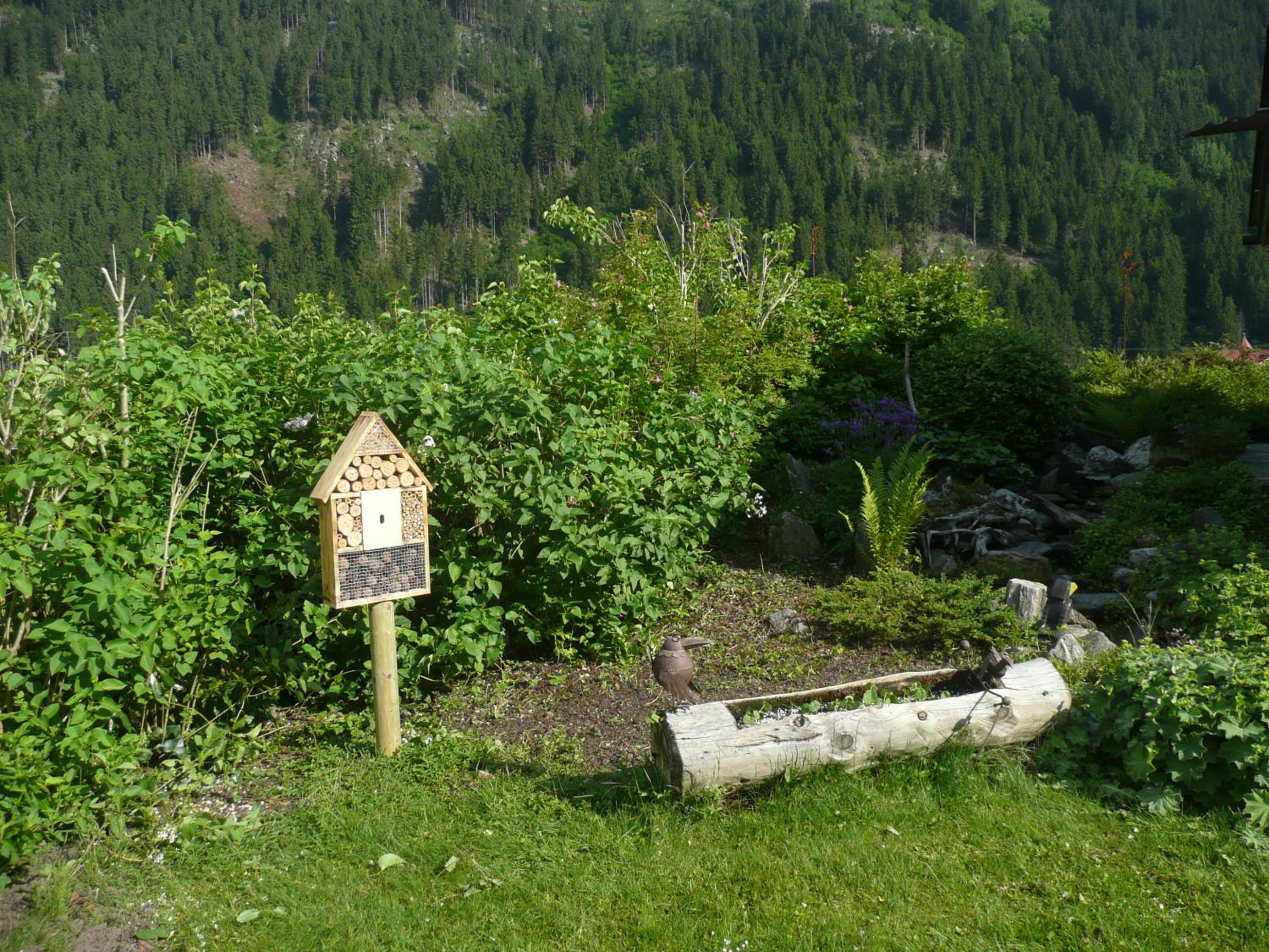 Photo 18