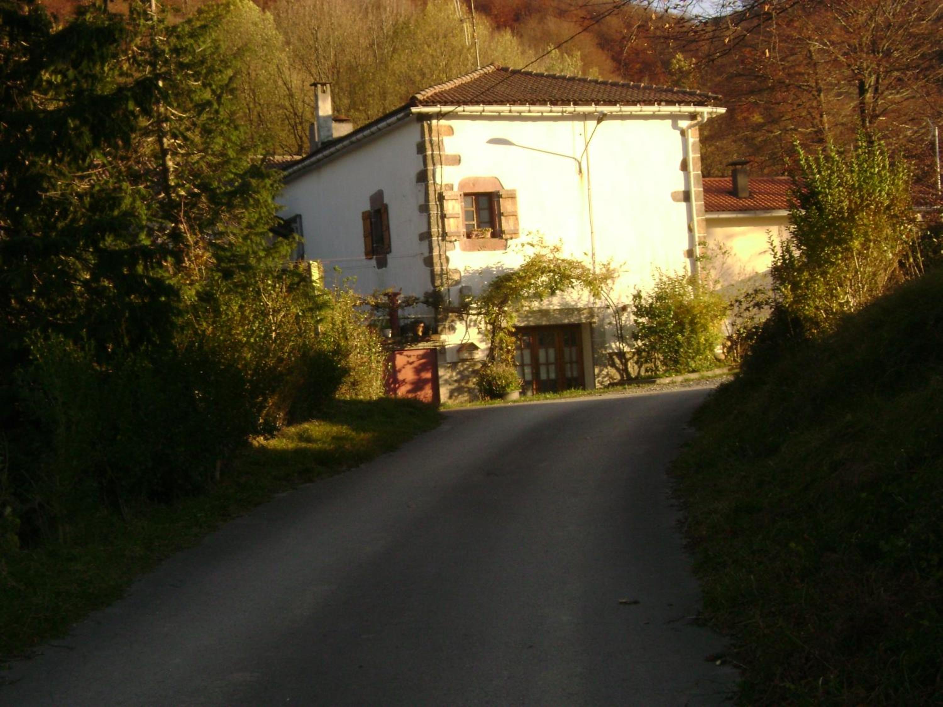 Photo 21