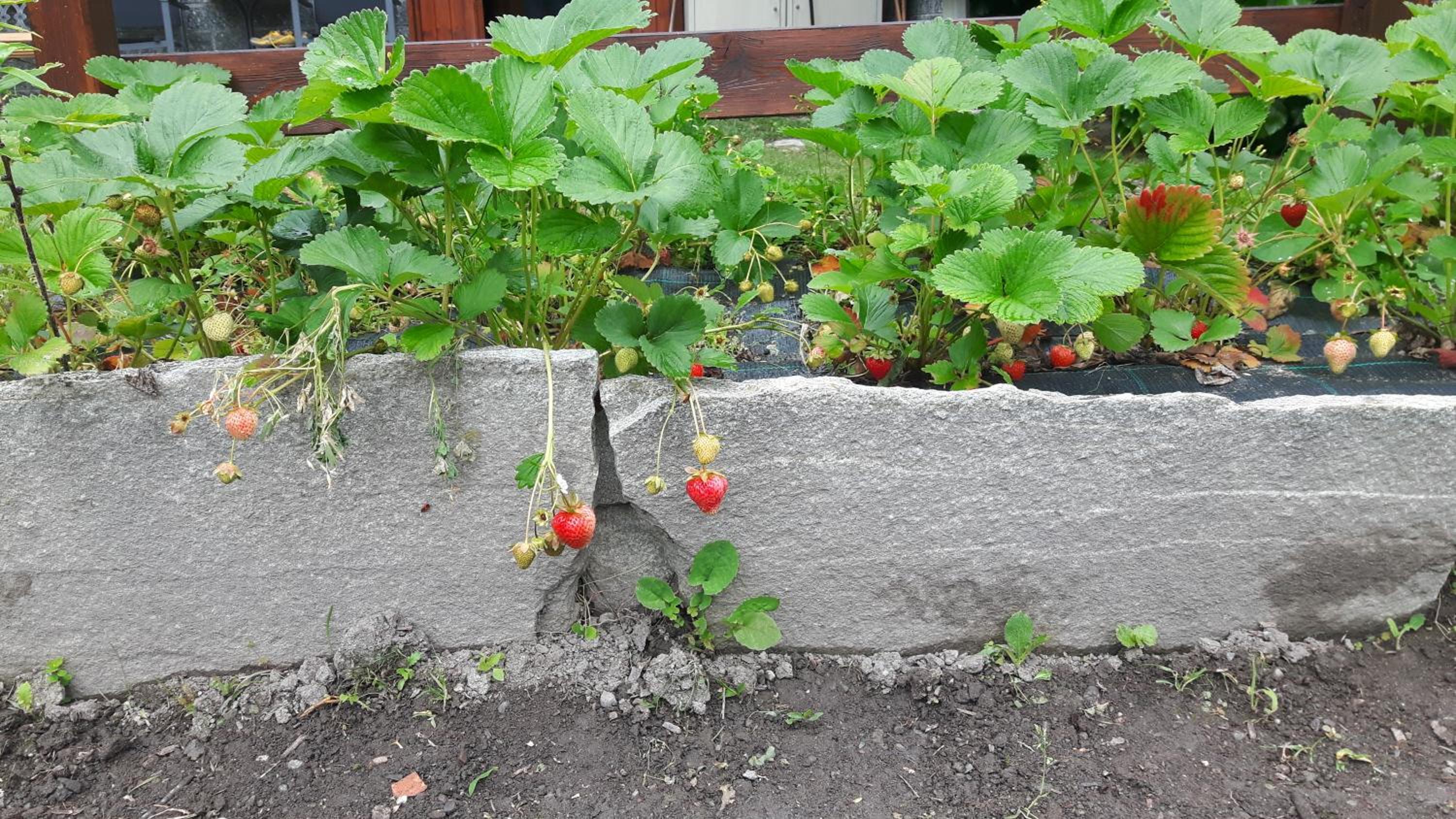 Photo 42