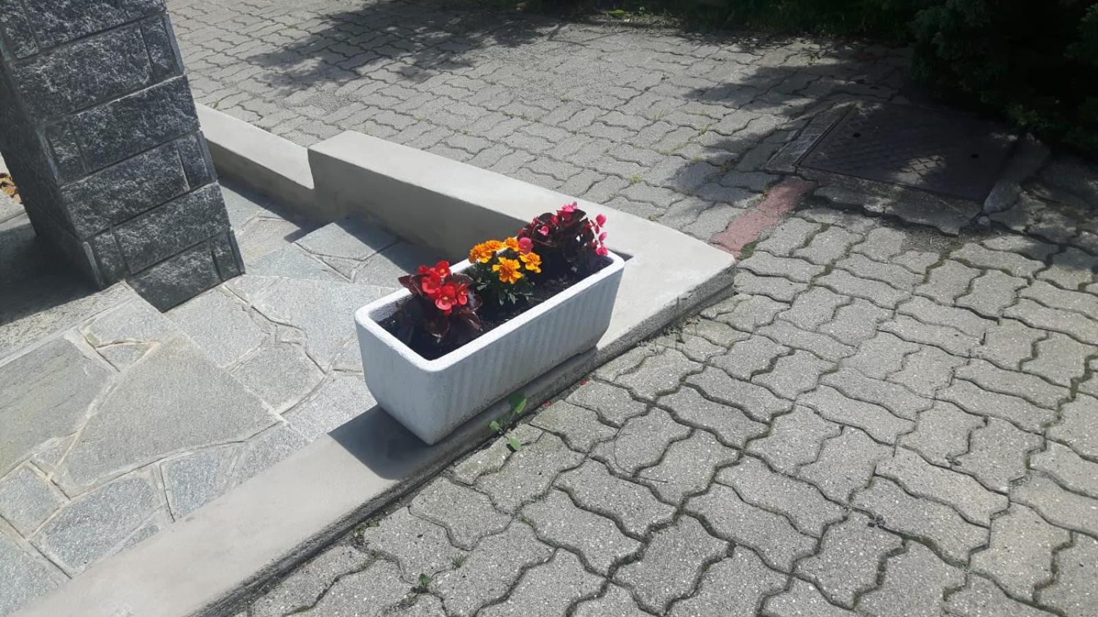 Photo 25