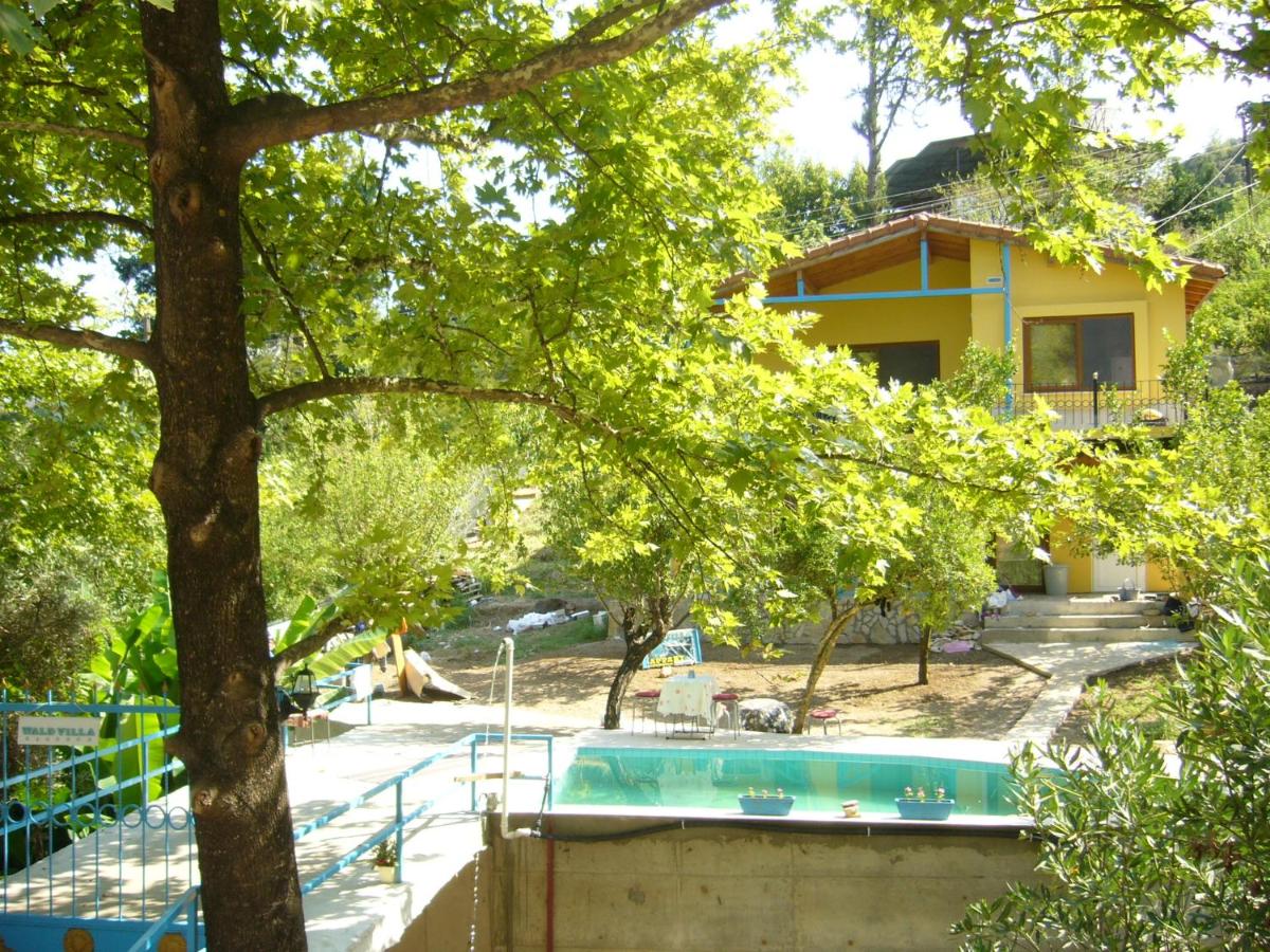Photo 45