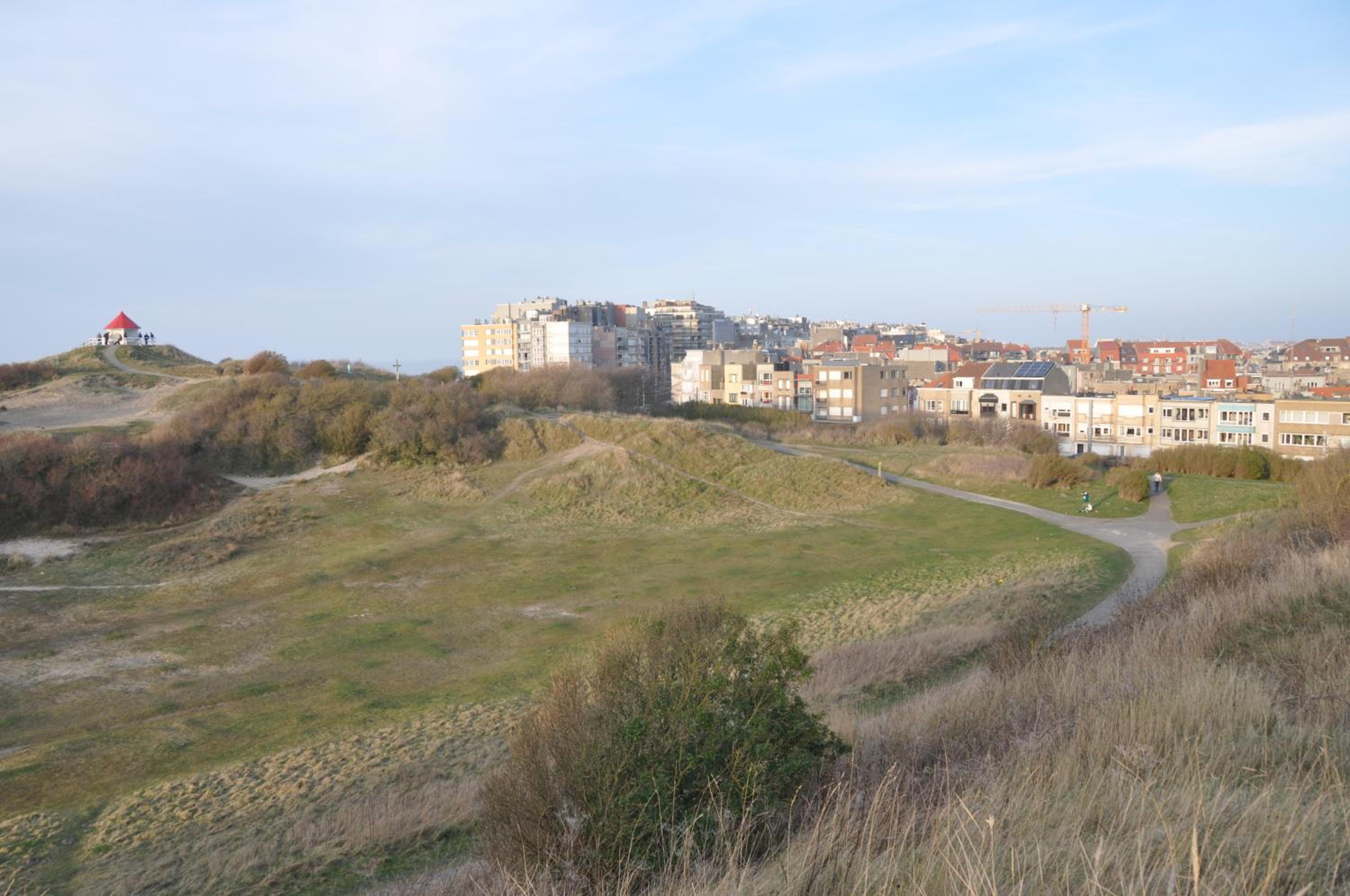 Photo 42