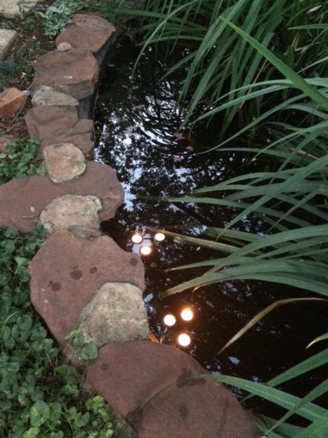 Woodpecker Guesthouse Middelburg Mpumalanga