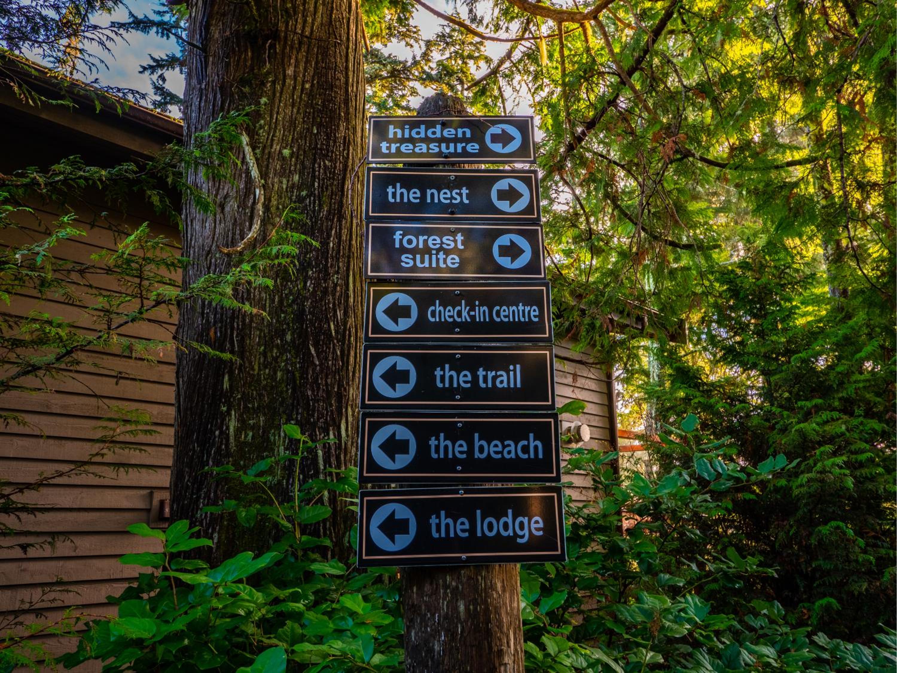 The Cabins at Terrace Beach
