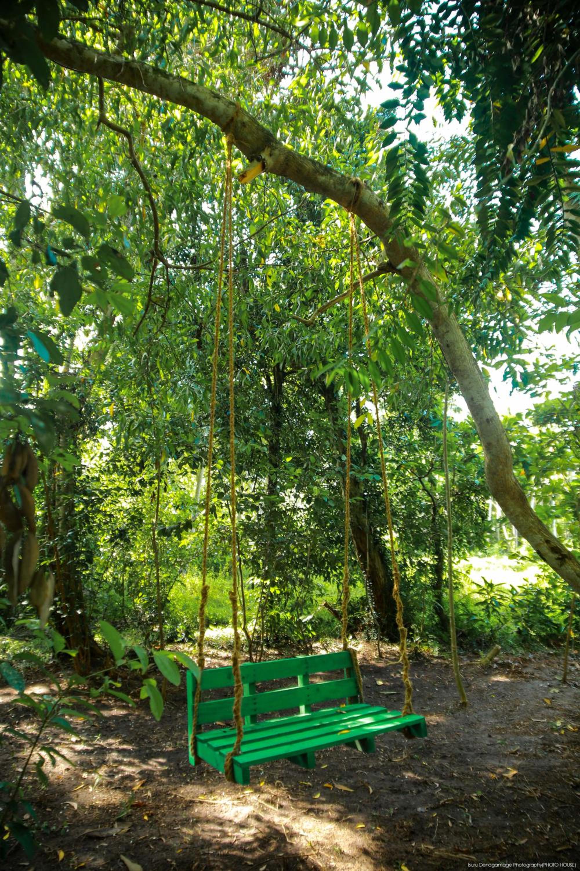 Jungle Paradise