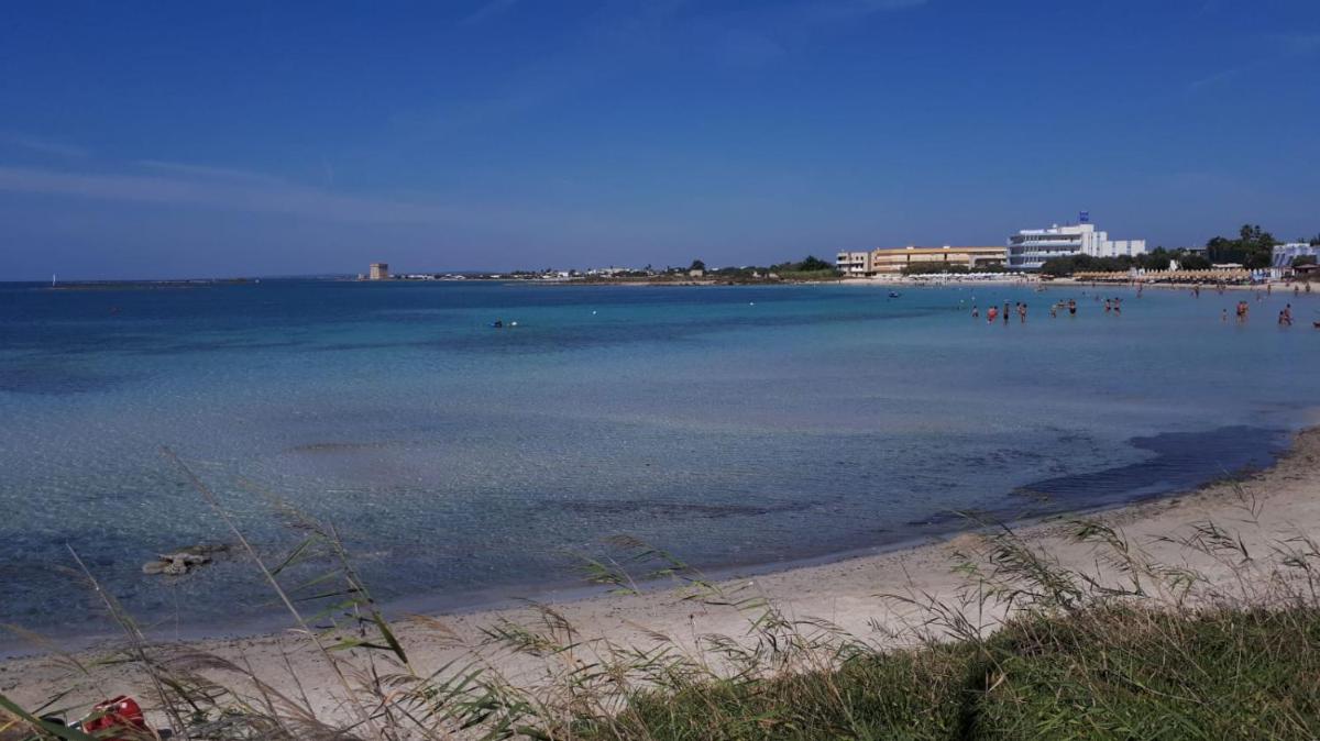 Sea of Love view 3